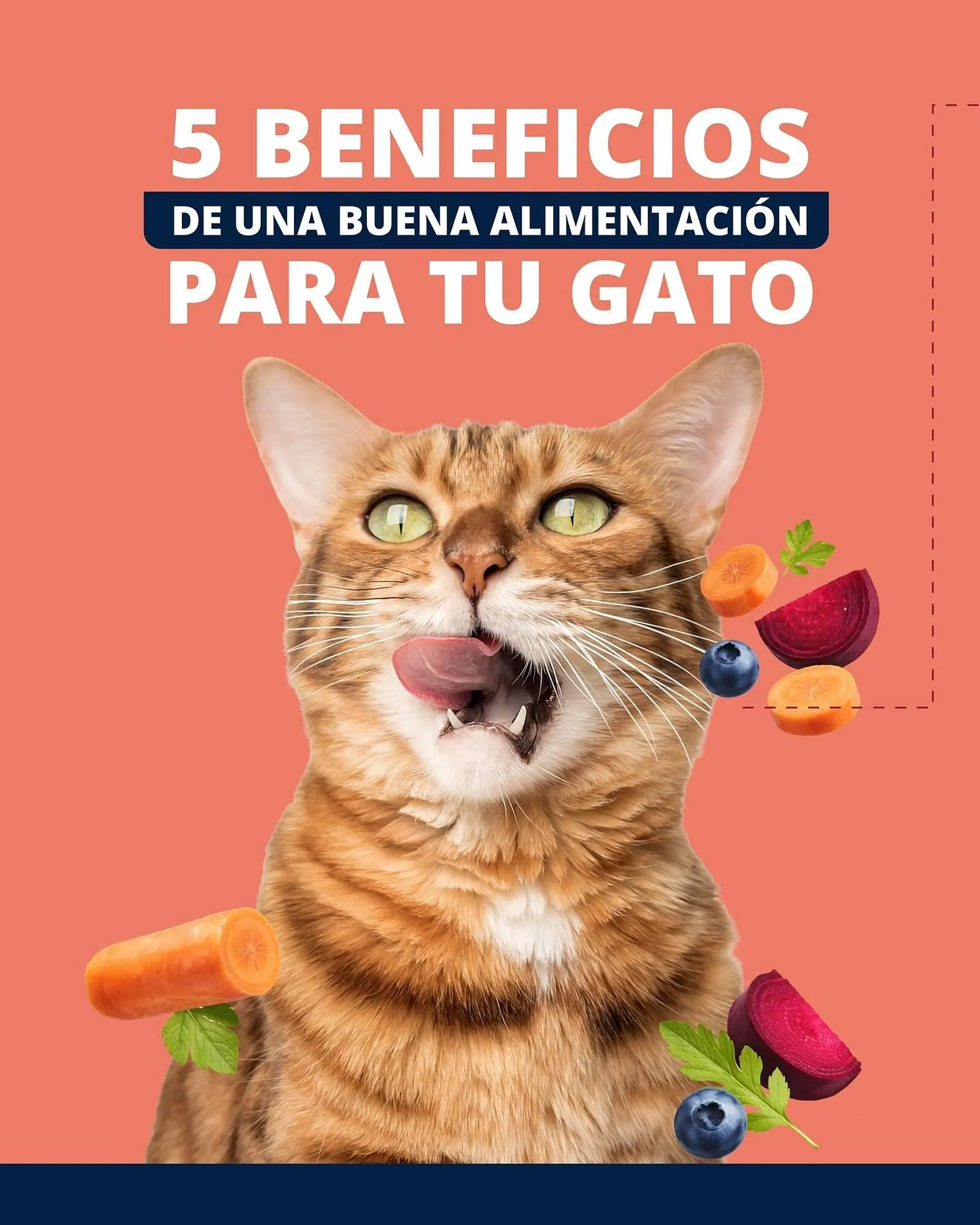 Ofertas de Catálogo Puppis 26 de febrero al 26 de febrero 2026 - Página 1 del catálogo