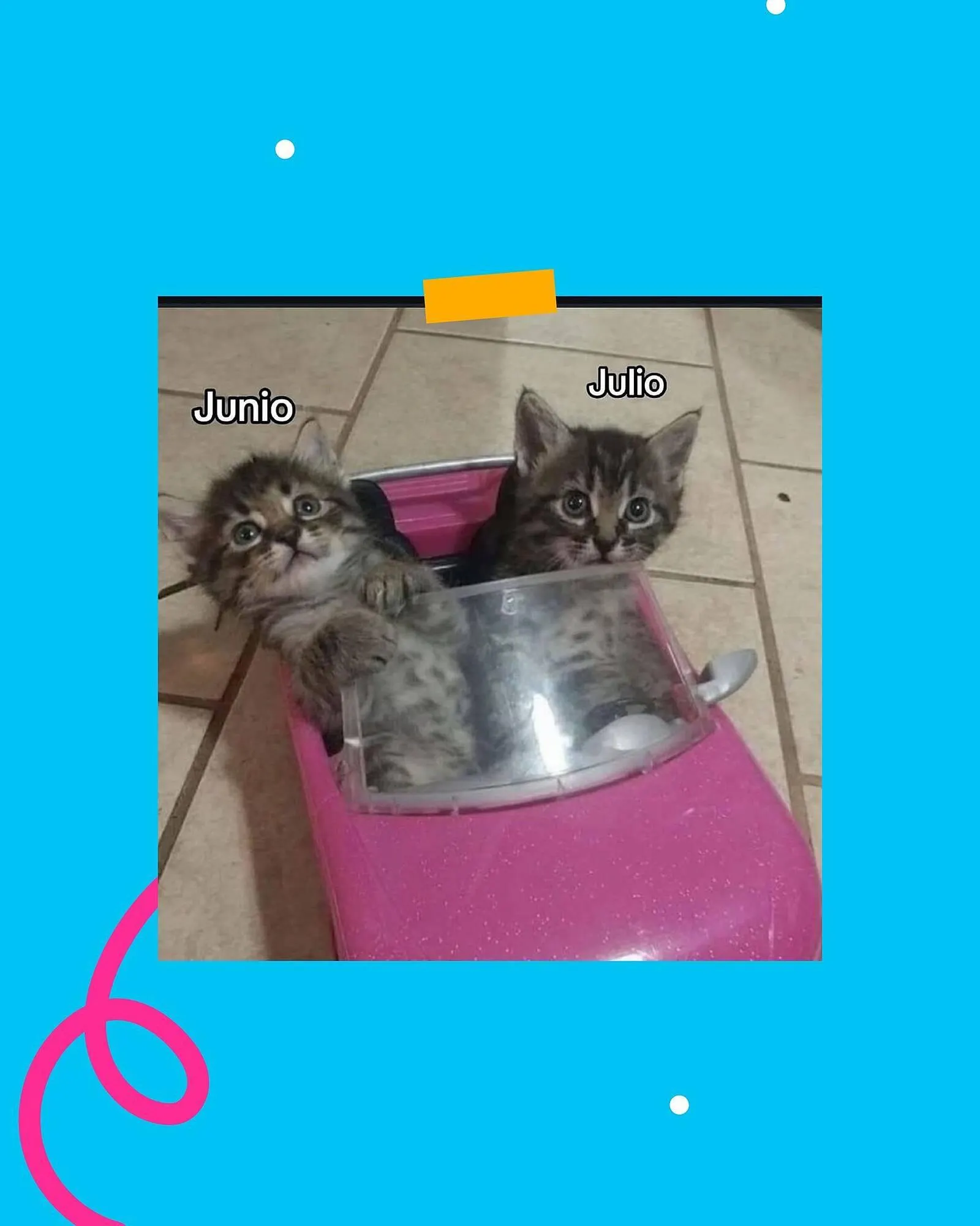 Ofertas de Catálogo Casper Pet Store 10 de abril al 30 de abril 2025 - Página 5 del catálogo