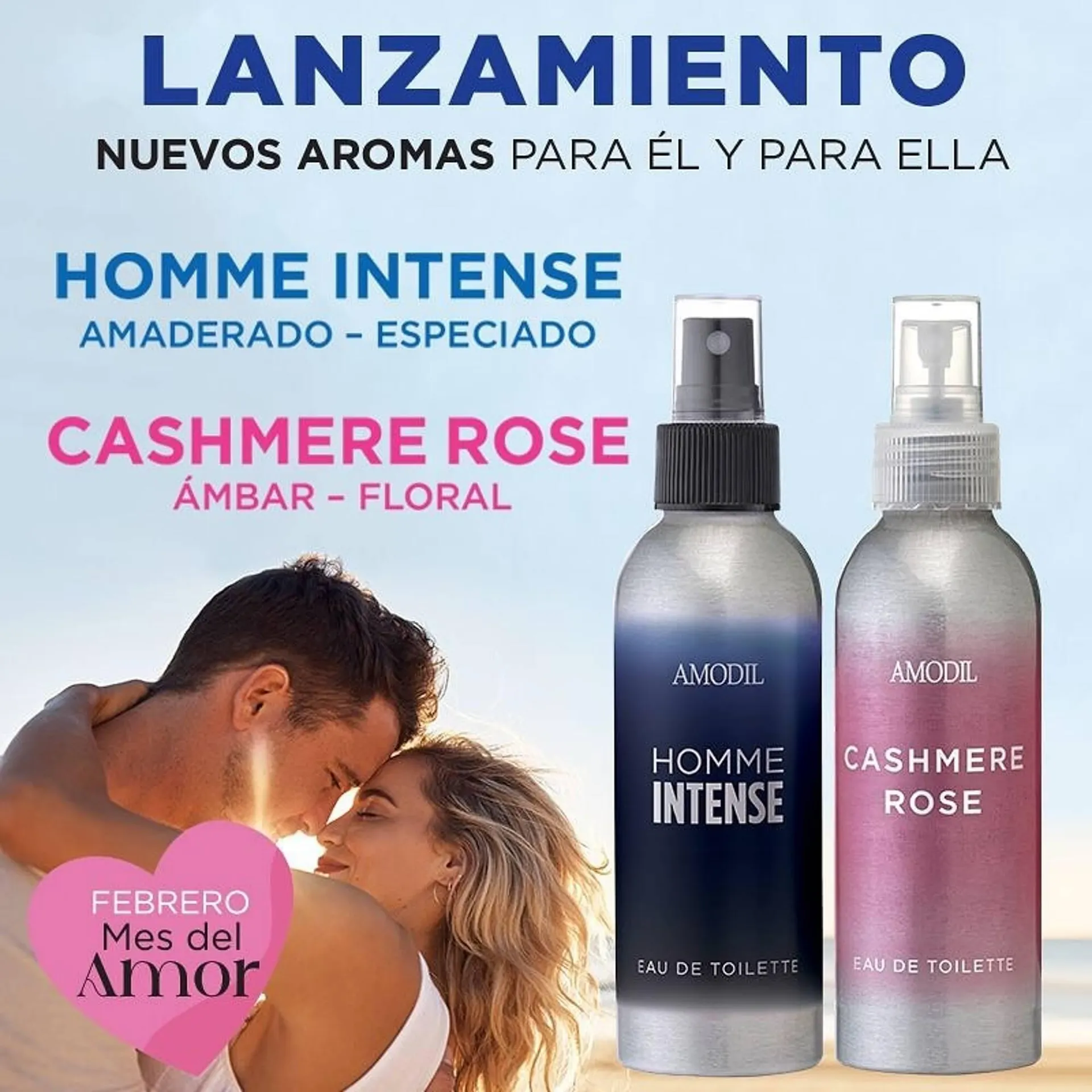 Ofertas de Catálogo Amodil 14 de enero al 28 de febrero 2025 - Página 2 del catálogo