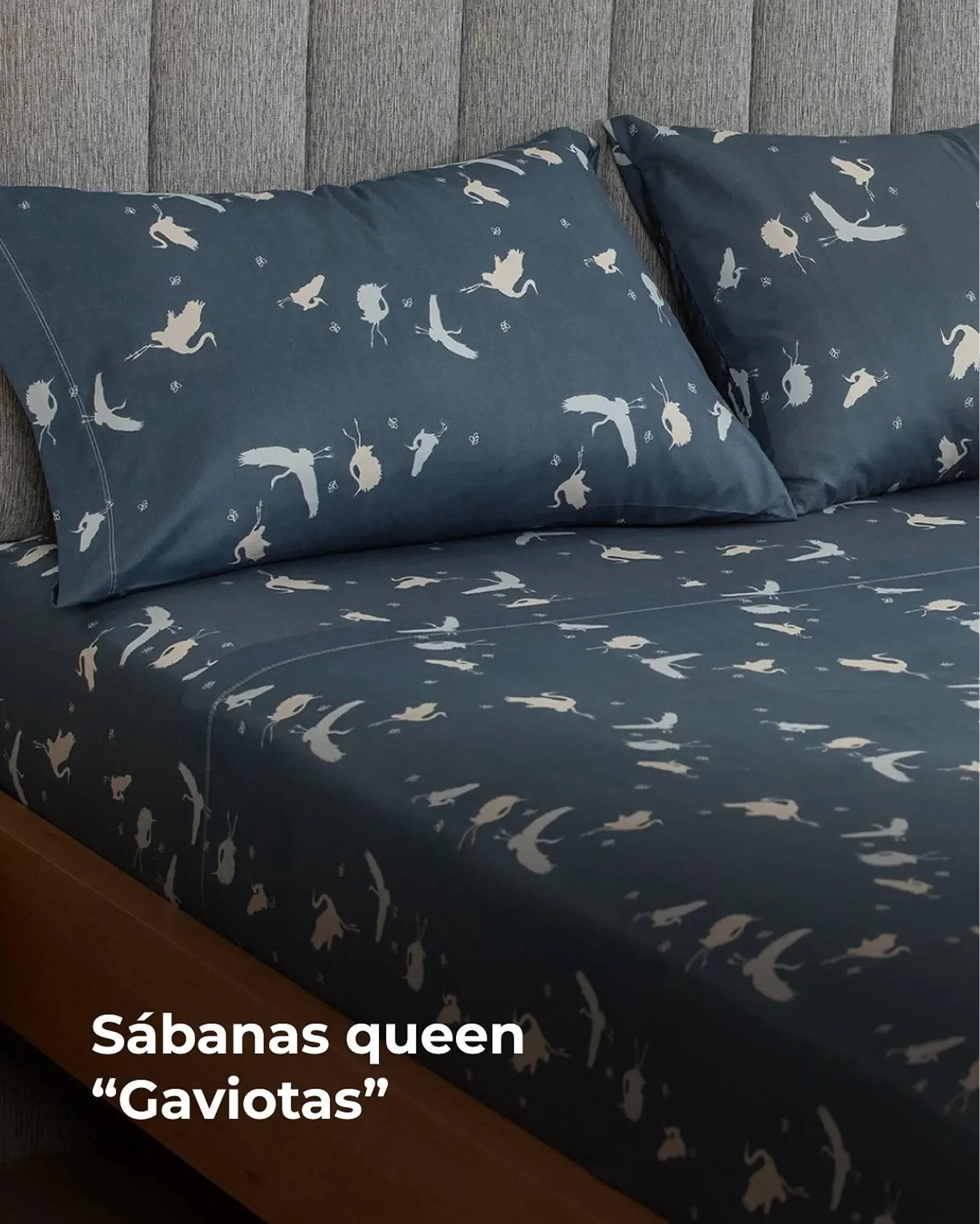 Ofertas de Catálogo Arredo 13 de agosto al 13 de agosto 2025 - Página 3 del catálogo