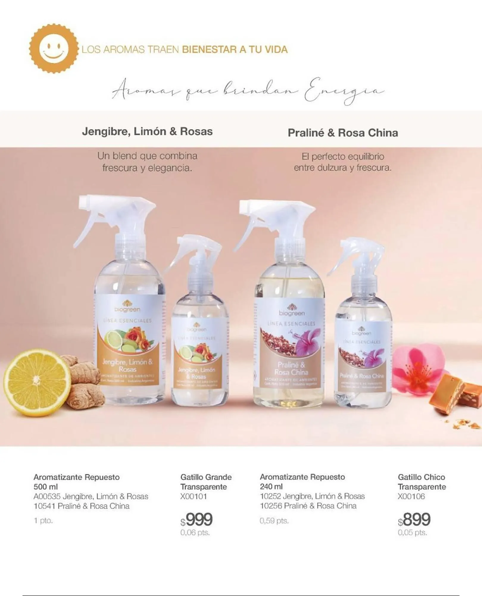 Ofertas de Catálogo Biogreen 16 de febrero al 1 de marzo 2026 - Página 10 del catálogo