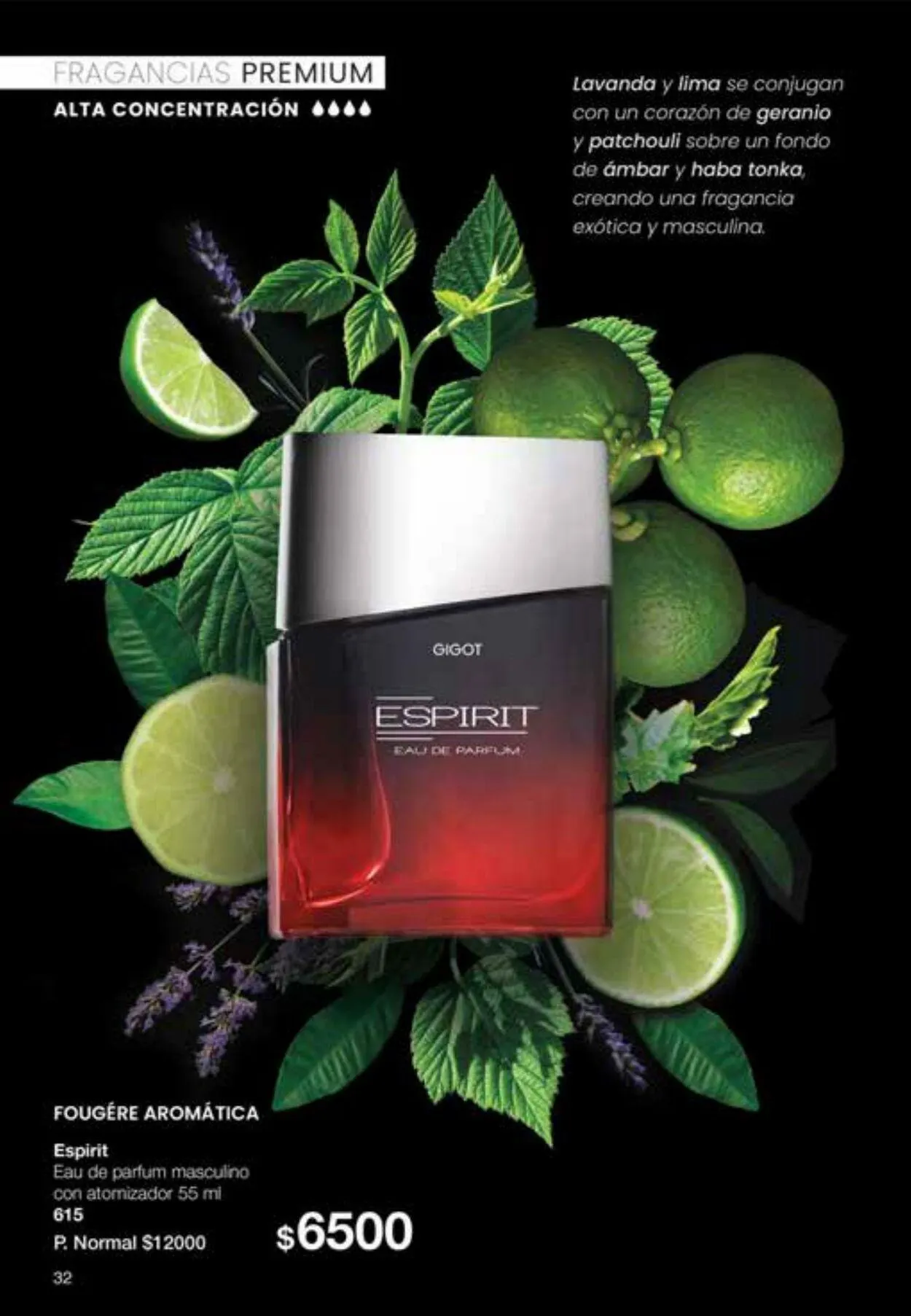 Ofertas de Gigot 6 de octubre al 31 de octubre 2023 - Página 32 del catálogo