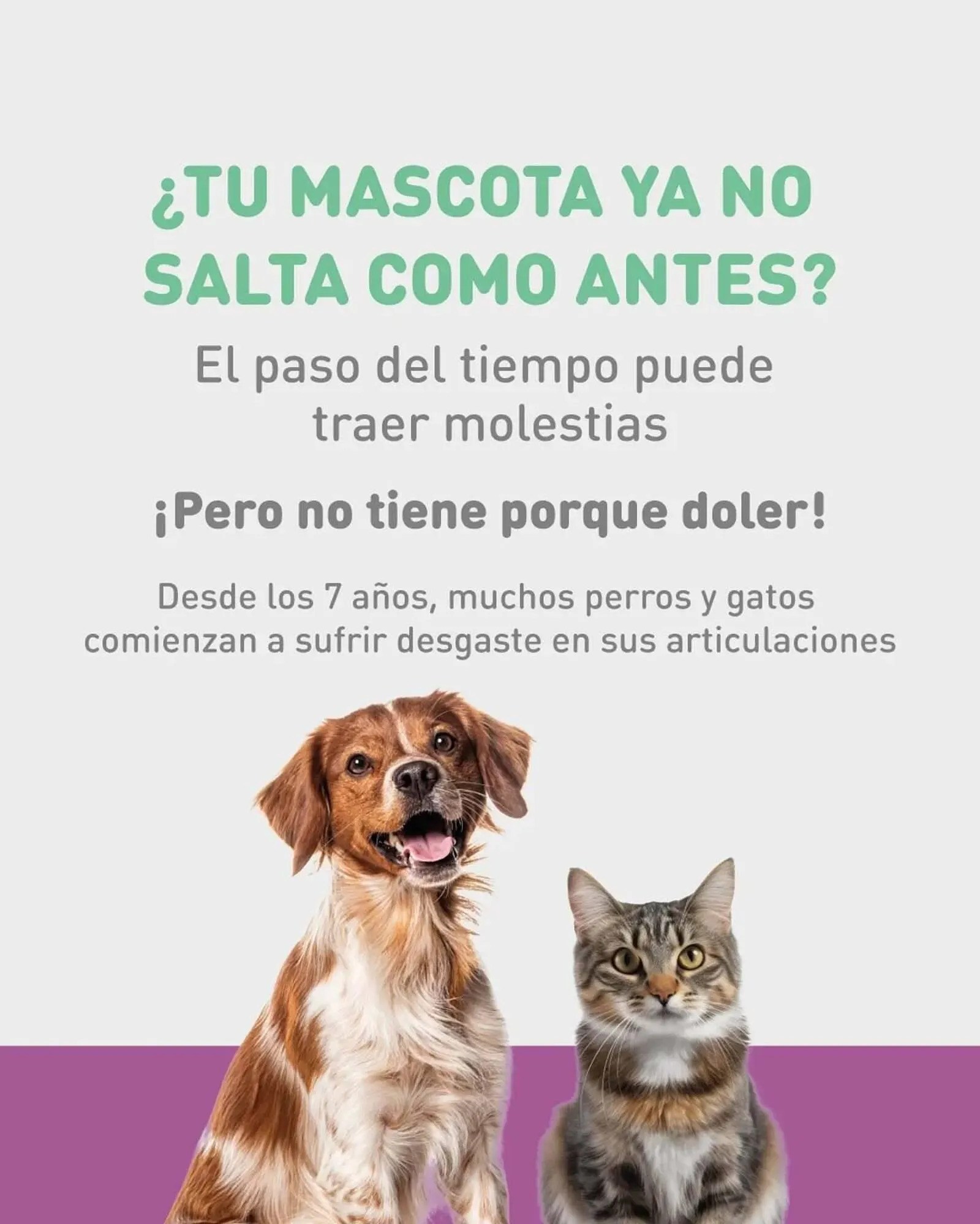 Ofertas de Catálogo Puppis 6 de mayo al 8 de mayo 2025 - Página 1 del catálogo