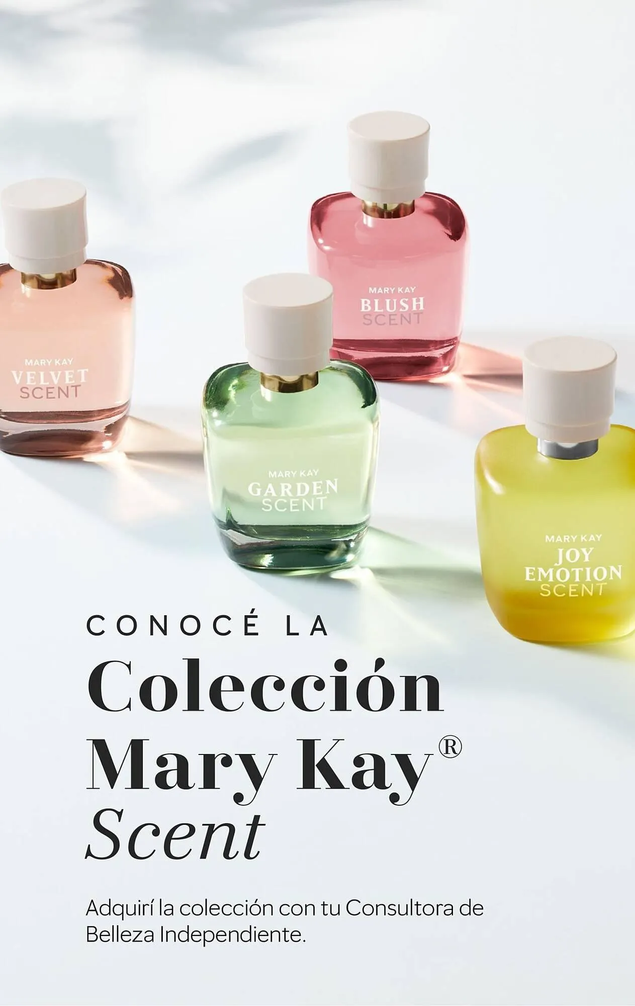 Ofertas de Catálogo Mary Kay 15 de abril al 30 de abril 2025 - Página 8 del catálogo