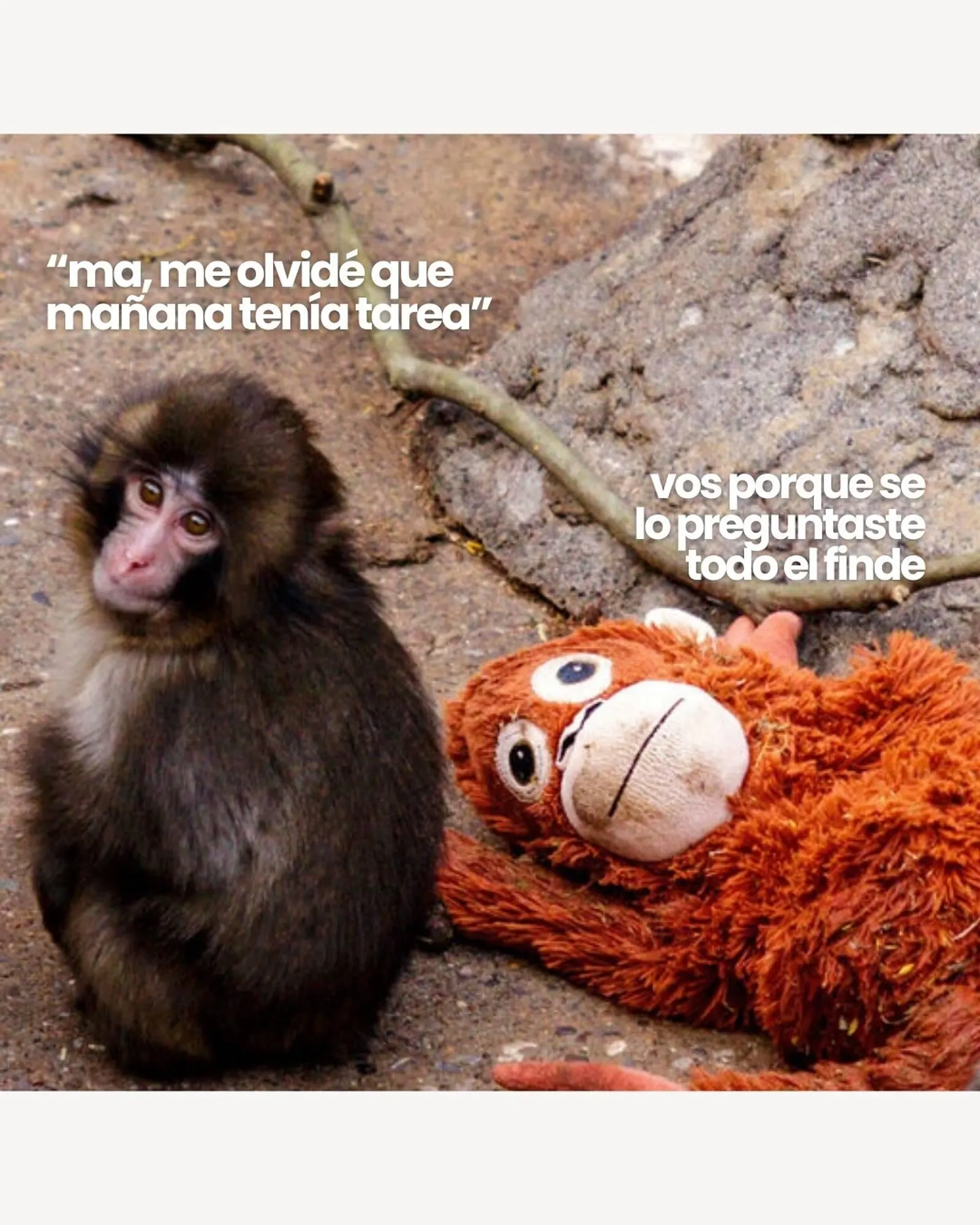 Ofertas de Catálogo Jugueterias Carrousel 3 de marzo al 10 de marzo 2026 - Página 2 del catálogo