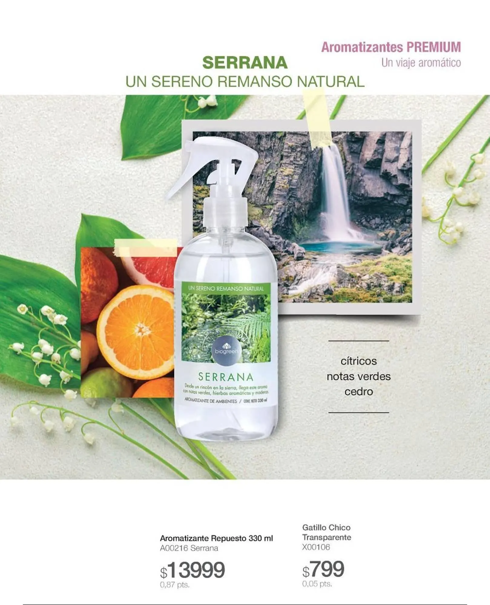 Ofertas de Catálogo Biogreen 4 de noviembre al 30 de noviembre 2025 - Página 31 del catálogo