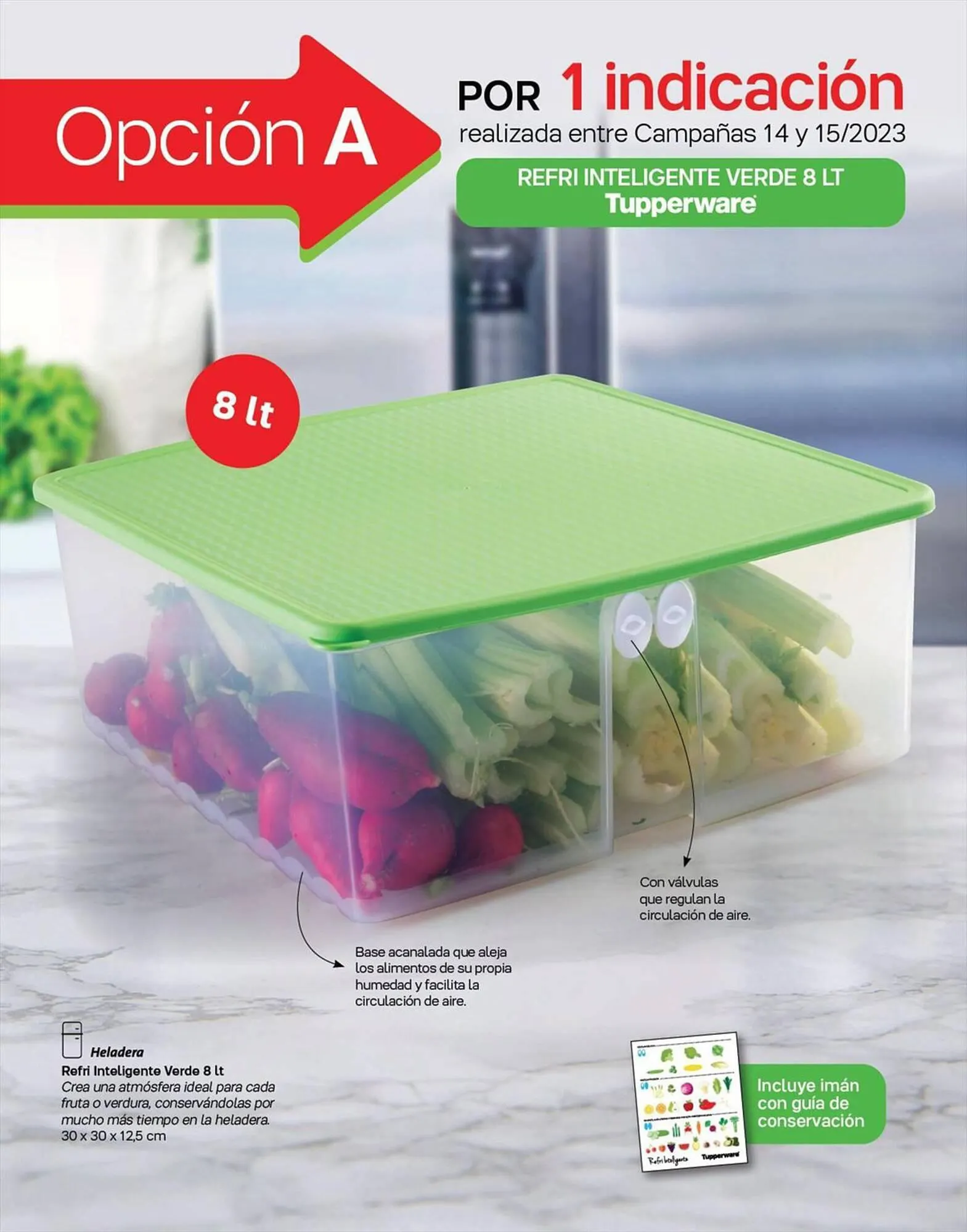 Ofertas de Catálogo Tupperware 24 de octubre al 8 de noviembre 2023 - Página 2 del catálogo