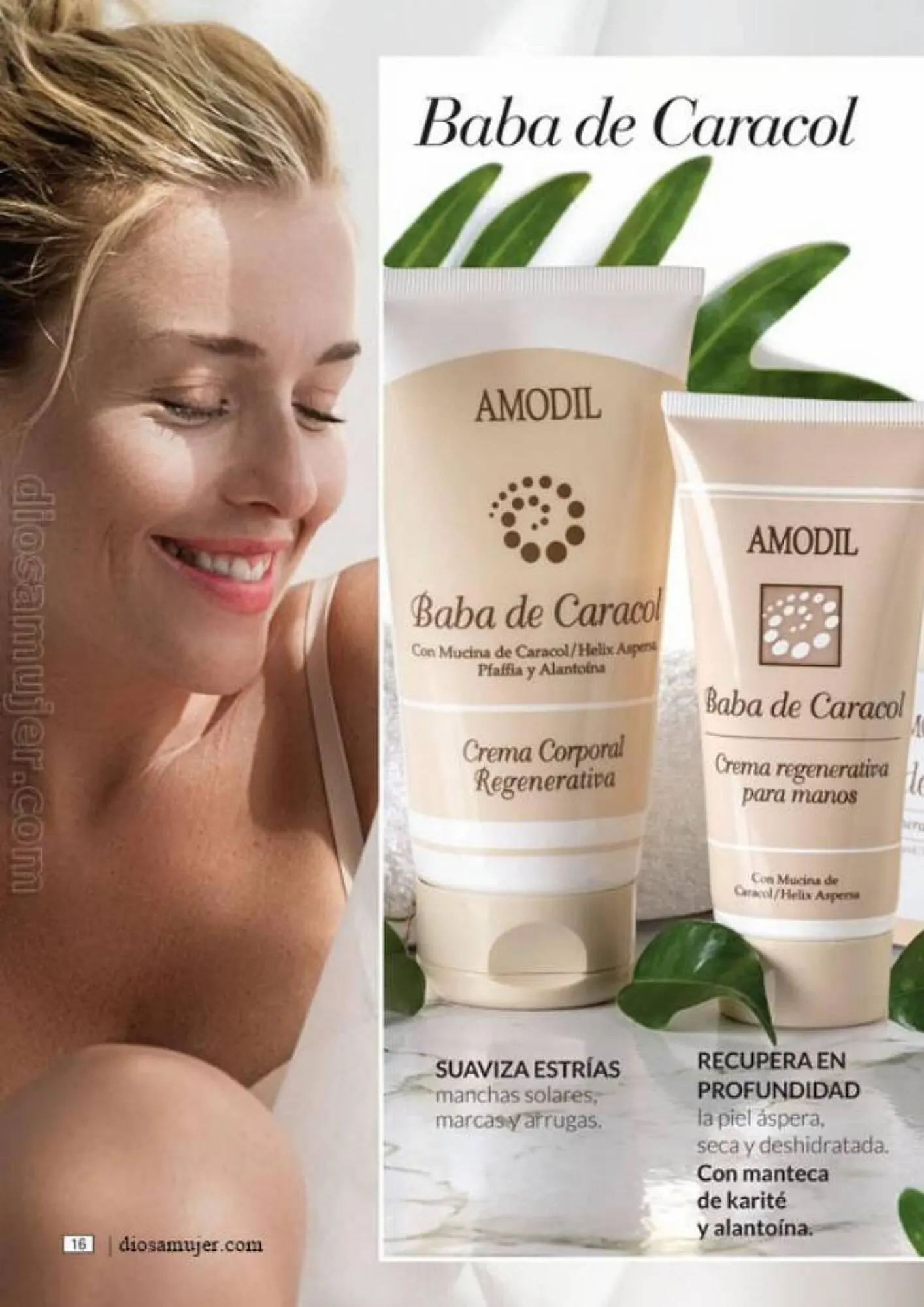 Ofertas de Catálogo Amodil 6 de septiembre al 10 de octubre 2023 - Página 16 del catálogo