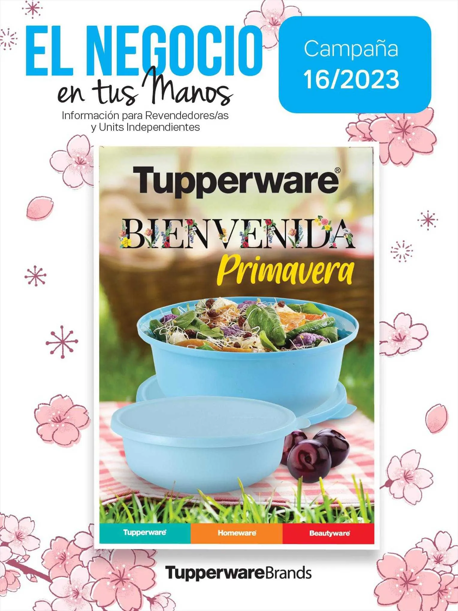 Catálogo Tupperware - 1
