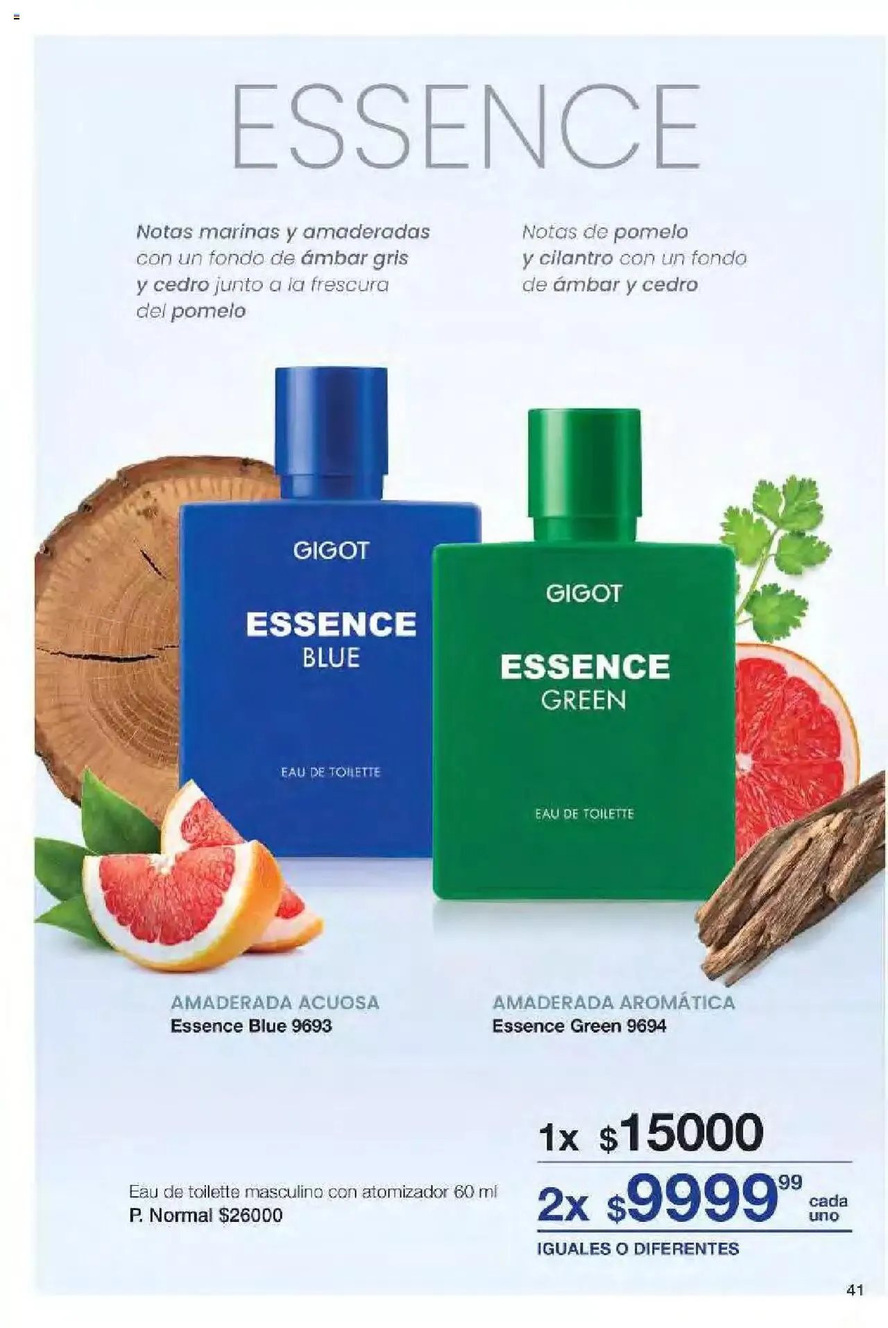 Ofertas de Gigot folleto 6 12 de marzo al 31 de diciembre 2024 - Página 41 del catálogo