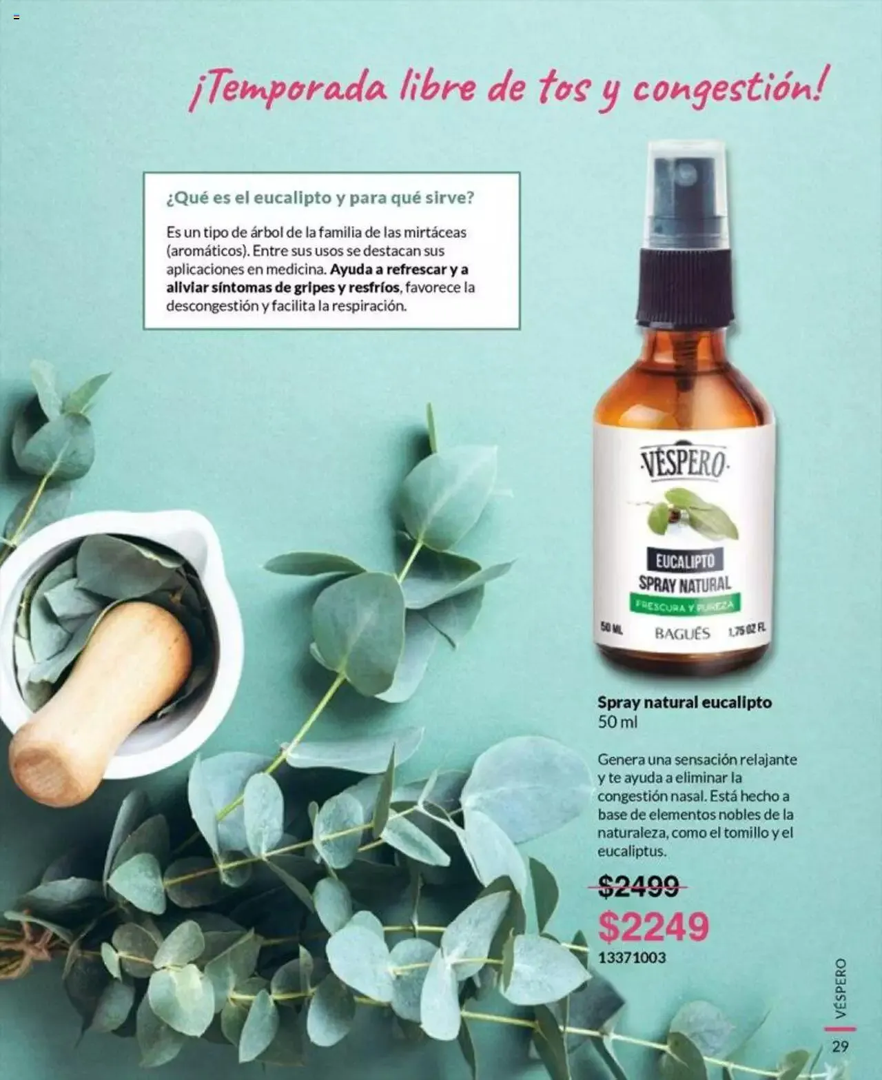 Ofertas de Bagués catálogo 17 de marzo al 31 de diciembre 2023 - Página 29 del catálogo