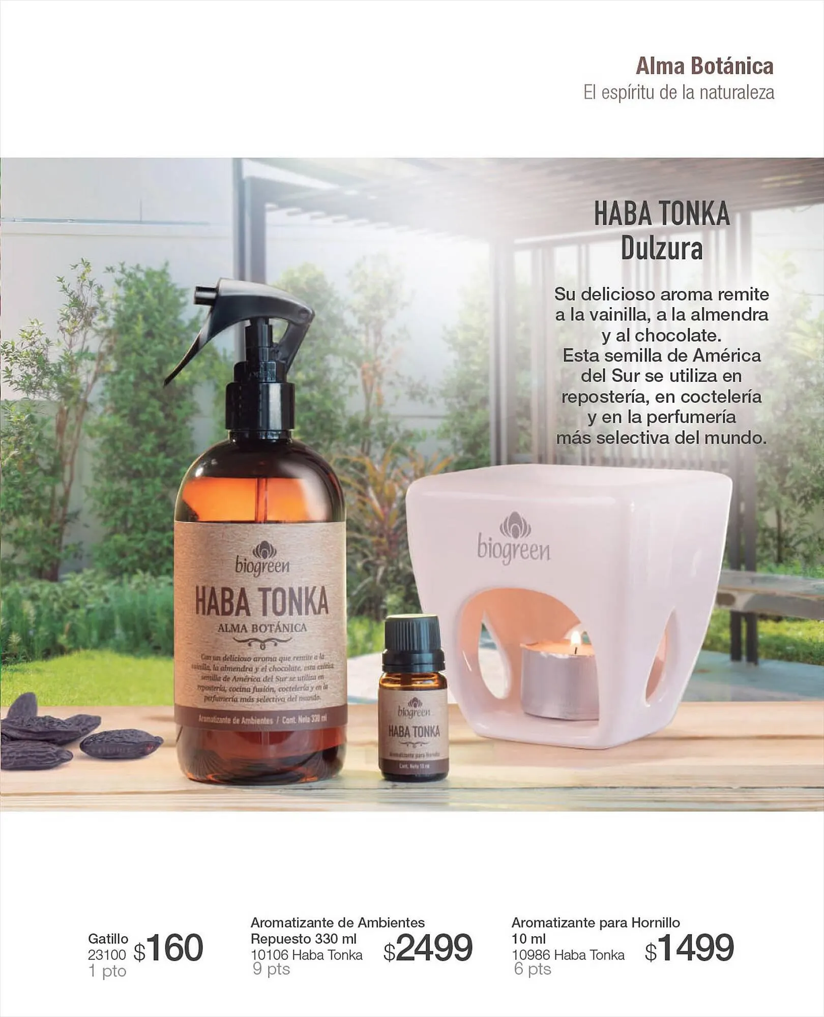 Ofertas de Catálogo Biogreen 27 de julio al 30 de julio 2023 - Página 37 del catálogo