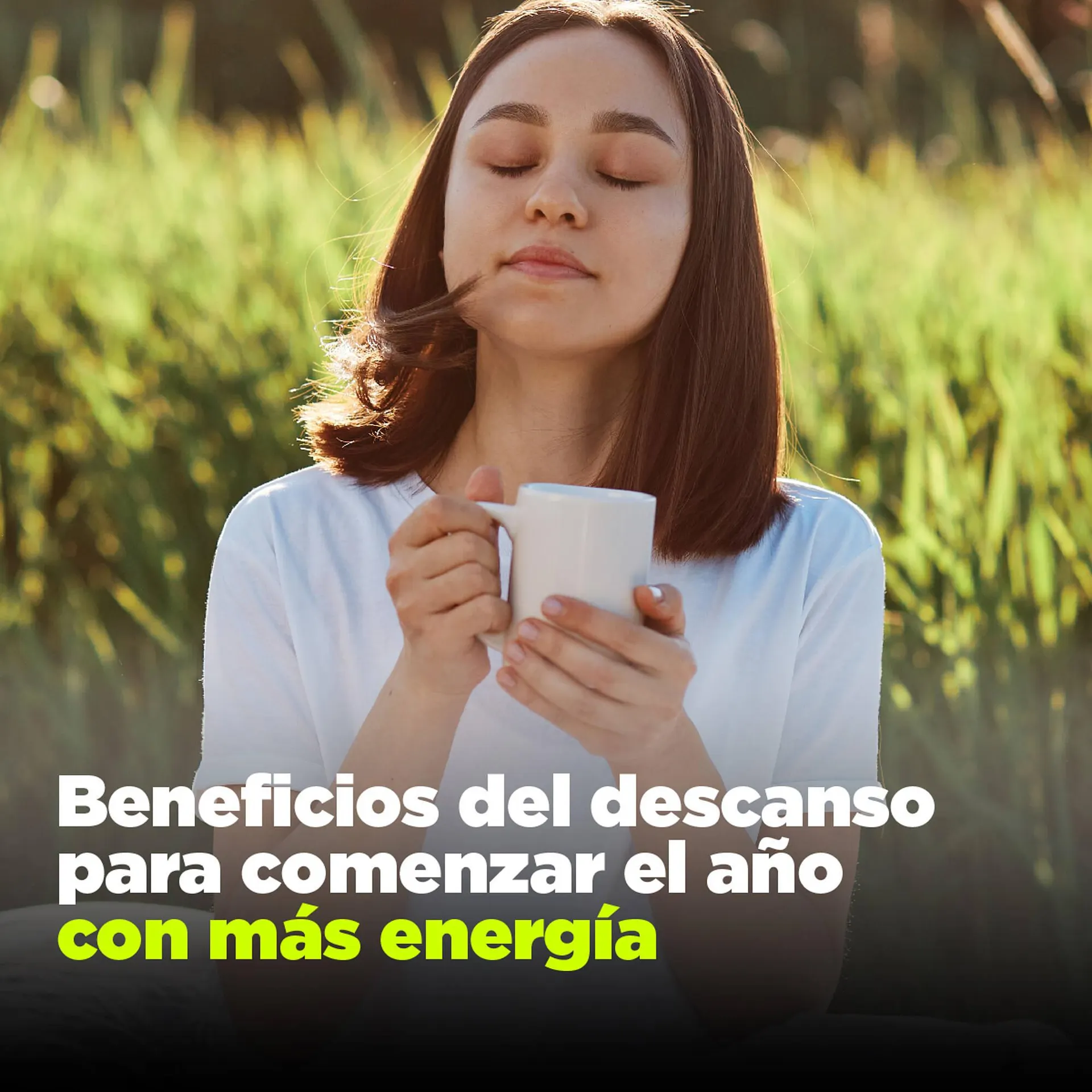 Catálogo Sommier Center - 1