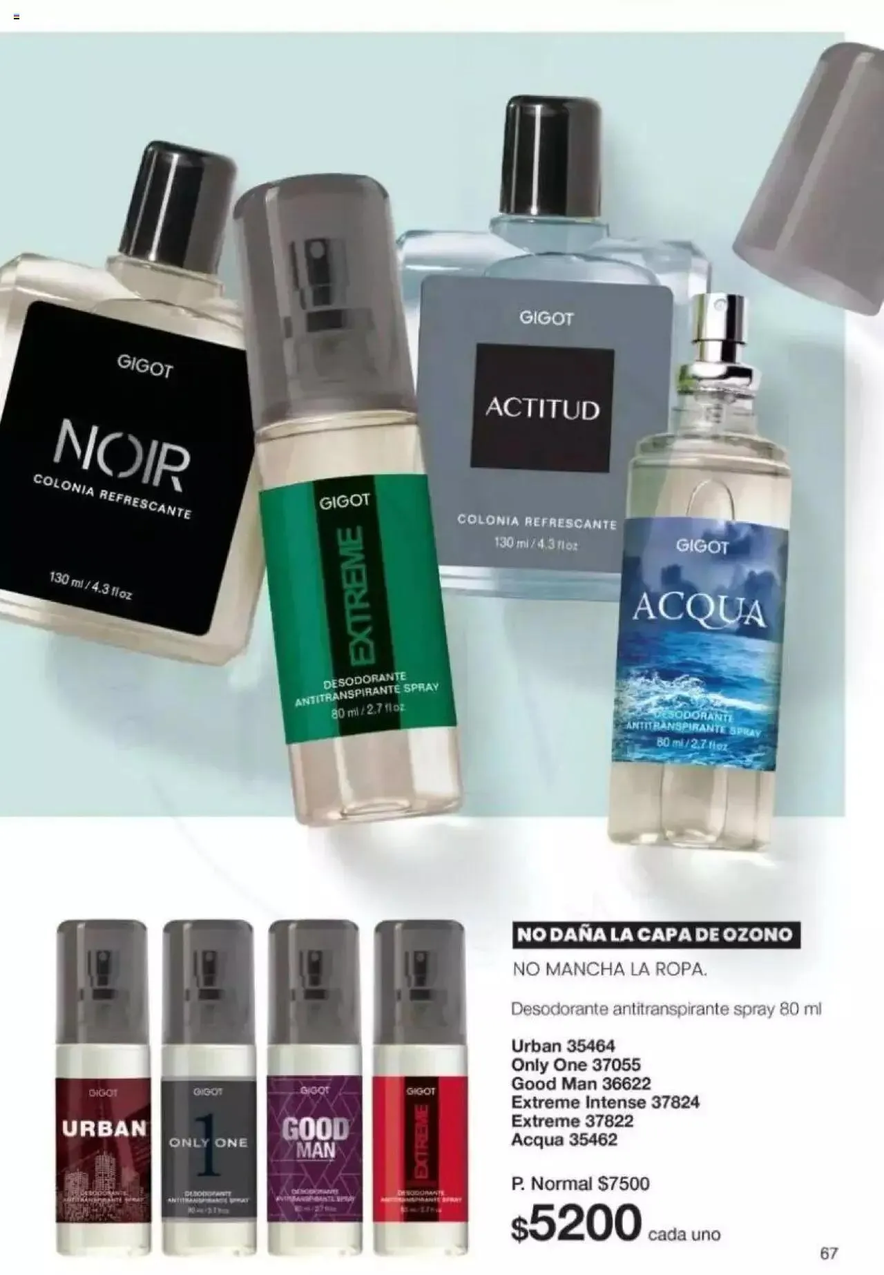 Ofertas de Gigot catálogo 2 de abril al 31 de diciembre 2024 - Página 67 del catálogo