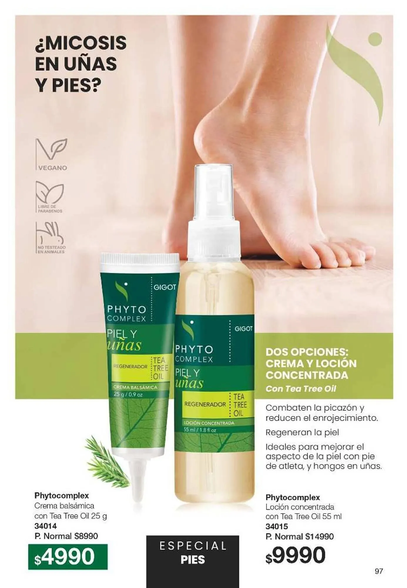 Ofertas de Catálogo Gigot 9 de enero al 16 de enero 2025 - Página 97 del catálogo