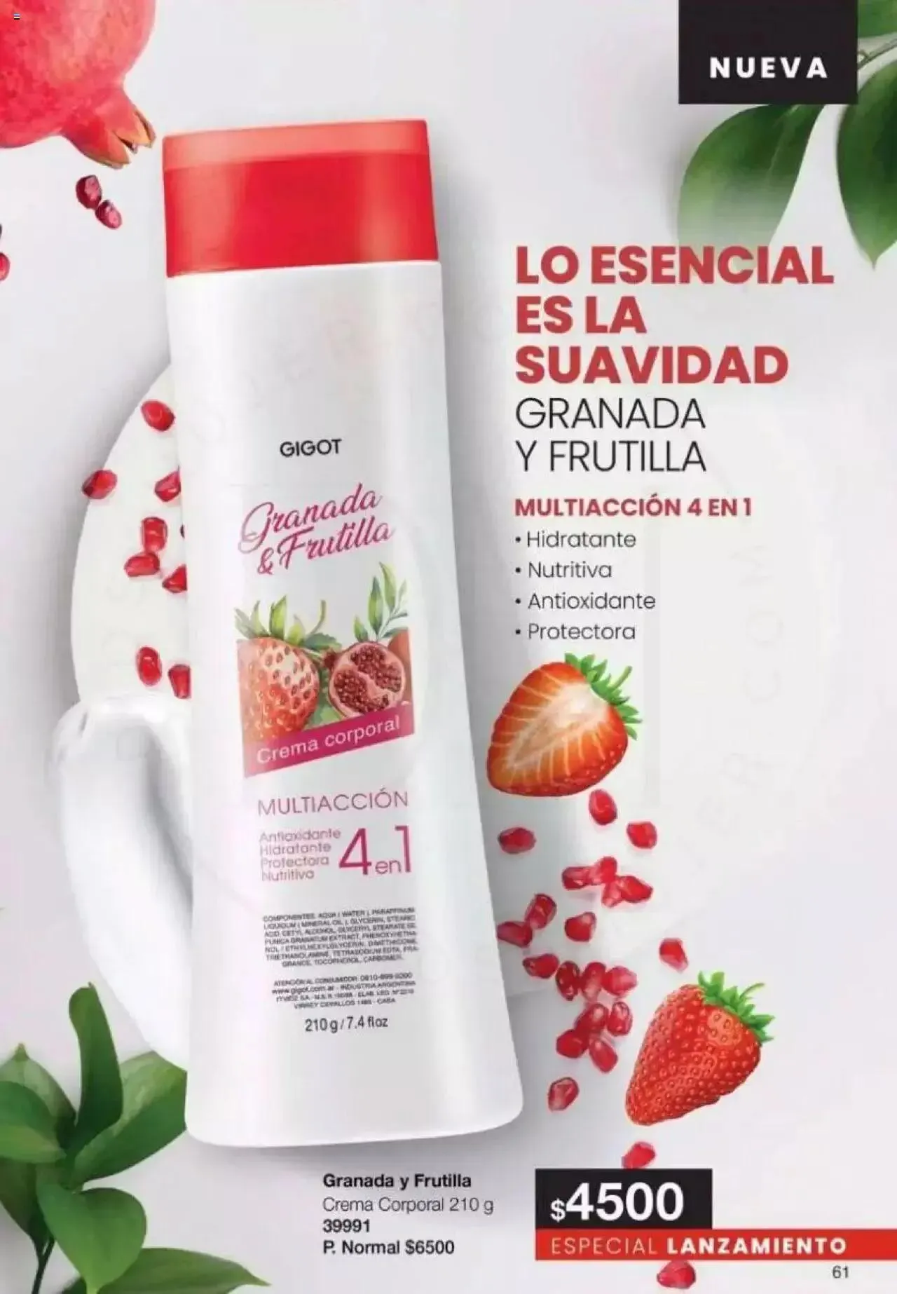 Ofertas de Gigot catálogo 2 de abril al 31 de diciembre 2024 - Página 61 del catálogo