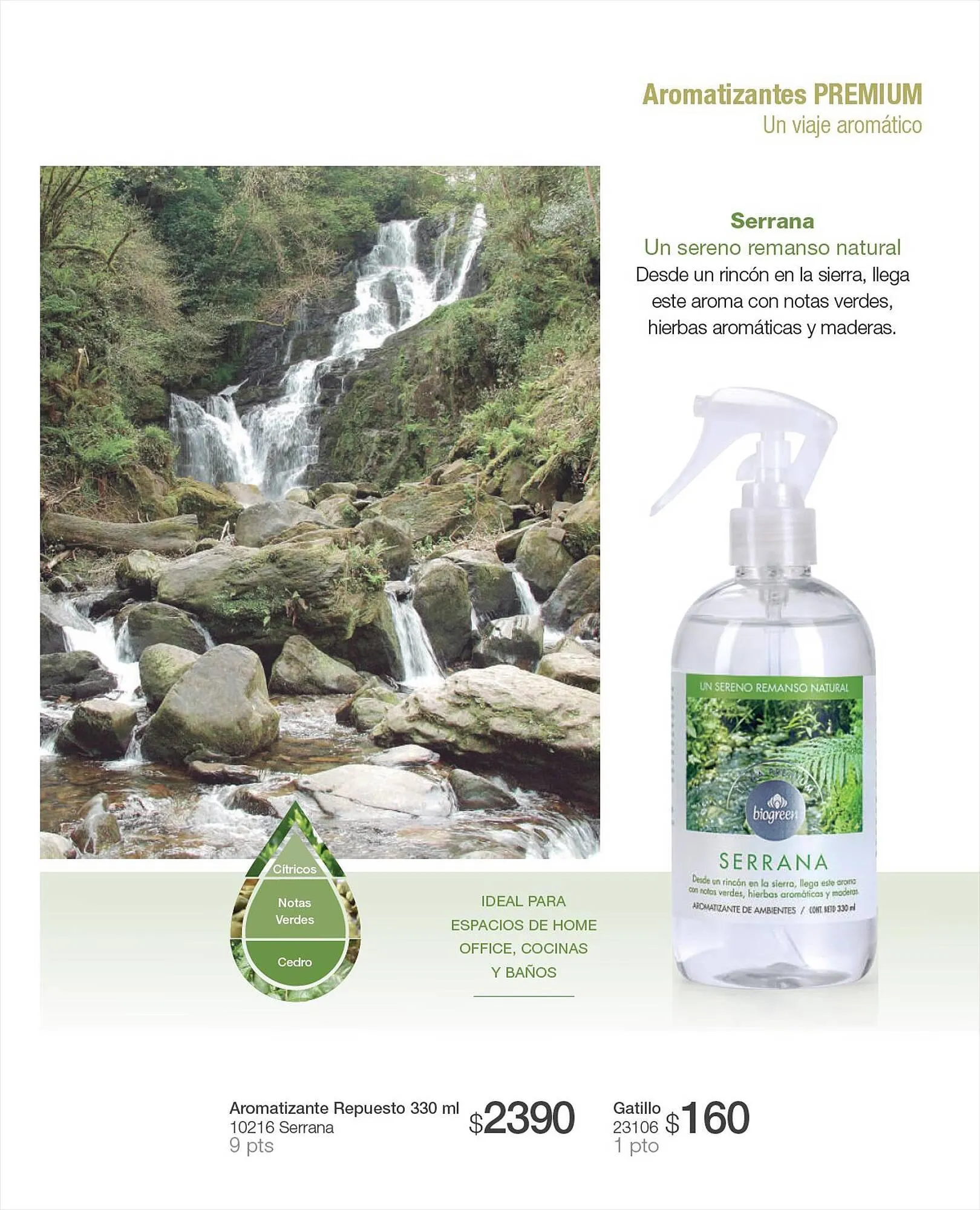 Ofertas de Catálogo Biogreen 27 de julio al 30 de julio 2023 - Página 51 del catálogo