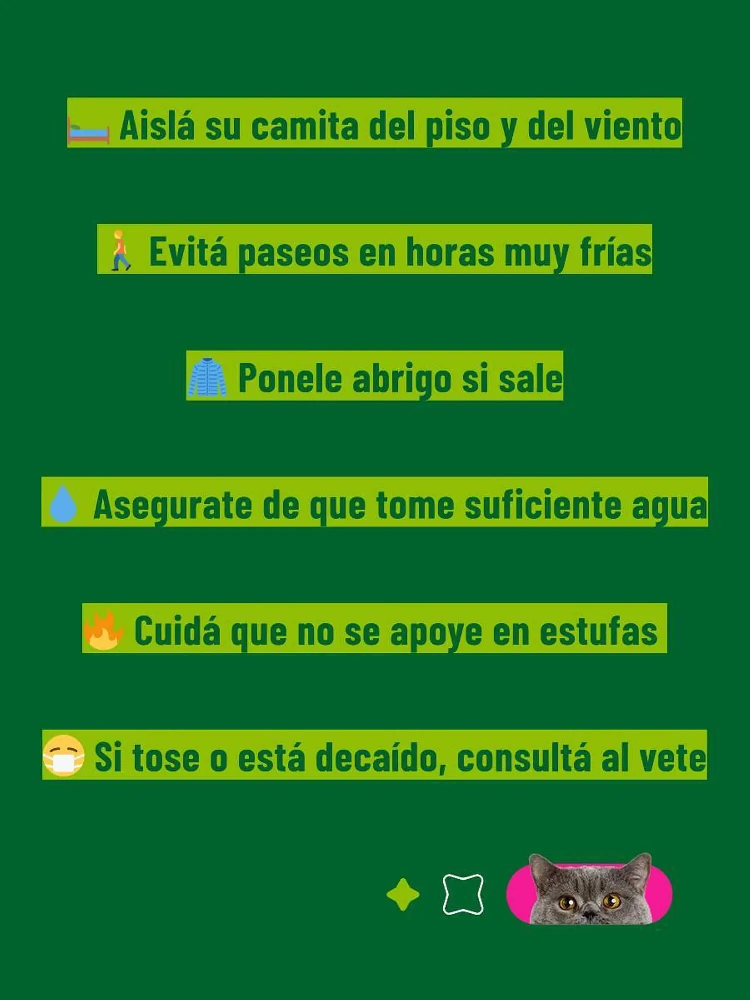 Ofertas de Catálogo Casper Pet Store 4 de julio al 15 de julio 2025 - Página 2 del catálogo