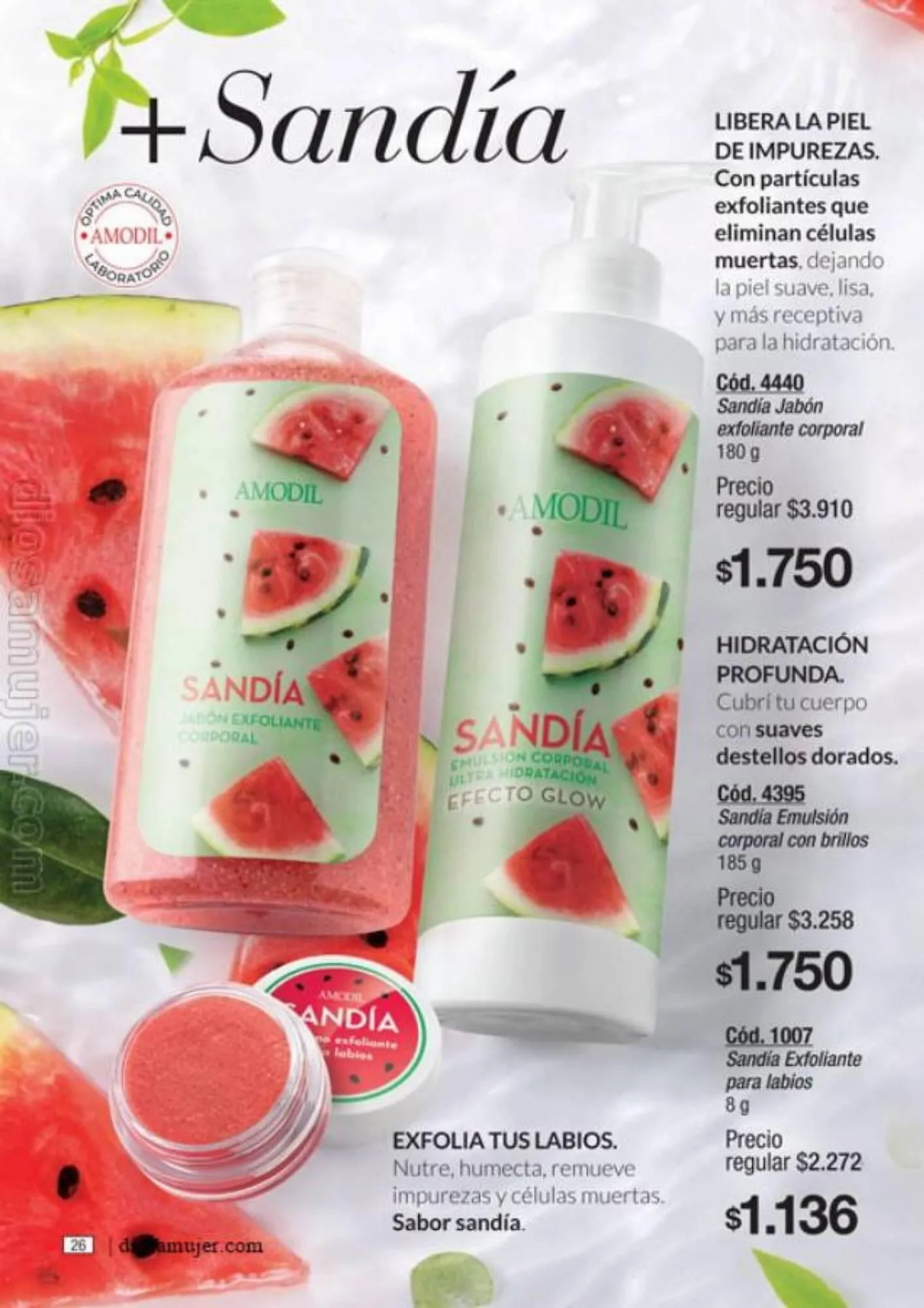 Ofertas de Catálogo Amodil 6 de septiembre al 10 de octubre 2023 - Página 26 del catálogo