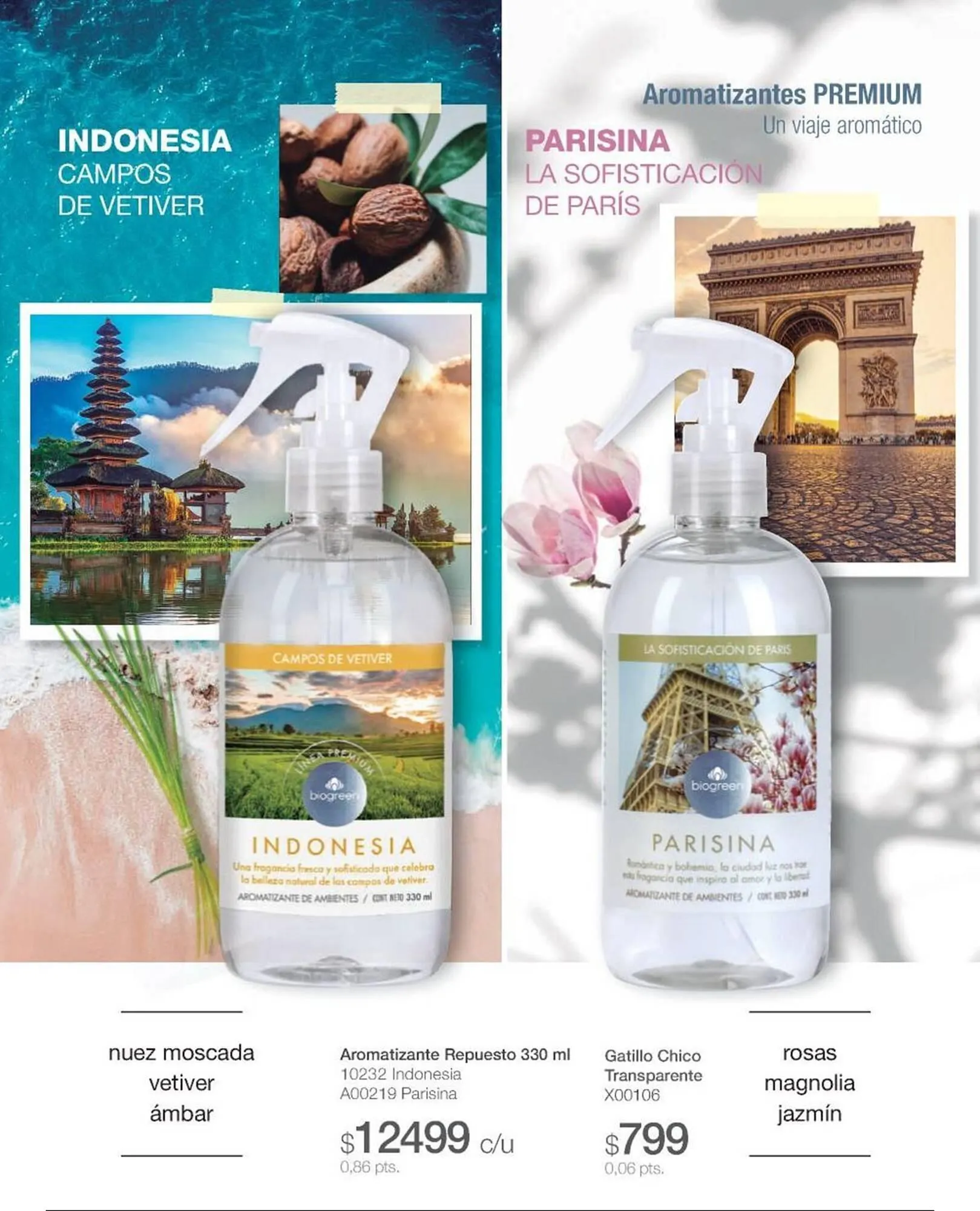 Ofertas de Catálogo Biogreen 15 de mayo al 31 de mayo 2025 - Página 23 del catálogo