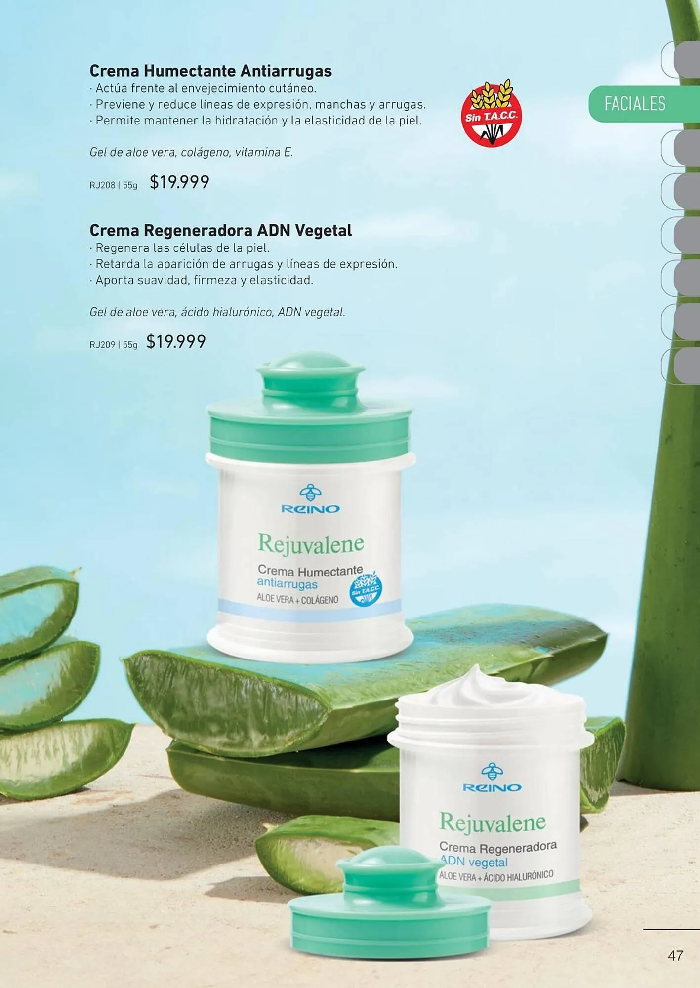 Ofertas de Catálogo Reino Cosmética 9 de abril al 22 de abril 2025 - Página 49 del catálogo
