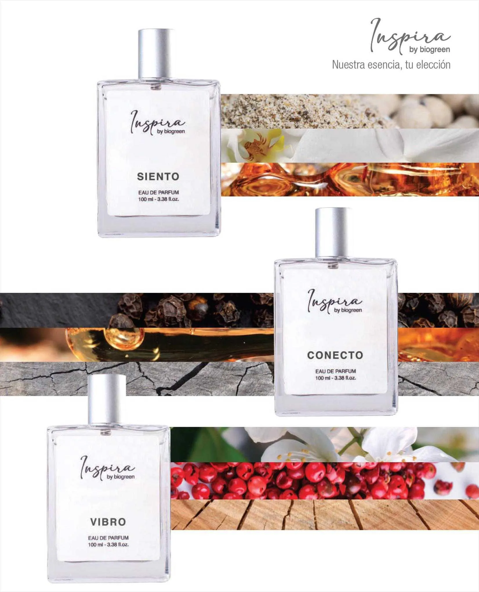 Ofertas de Catálogo Biogreen 17 de agosto al 31 de agosto 2023 - Página 95 del catálogo