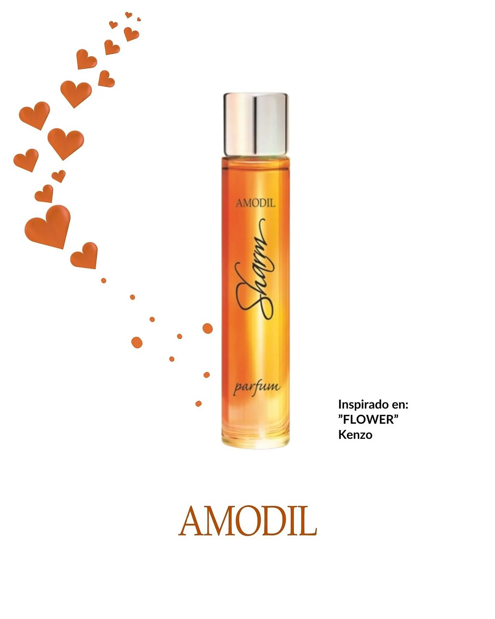 Ofertas de Catálogo Amodil 5 de mayo al 31 de mayo 2025 - Página 4 del catálogo