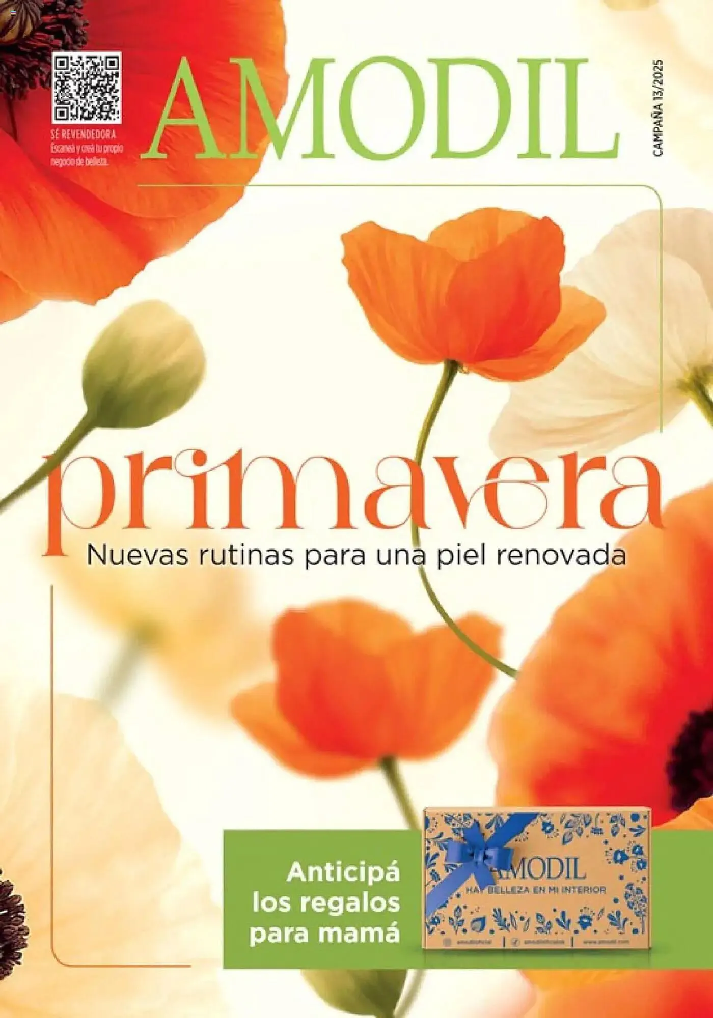 Catálogo Amodil - 1