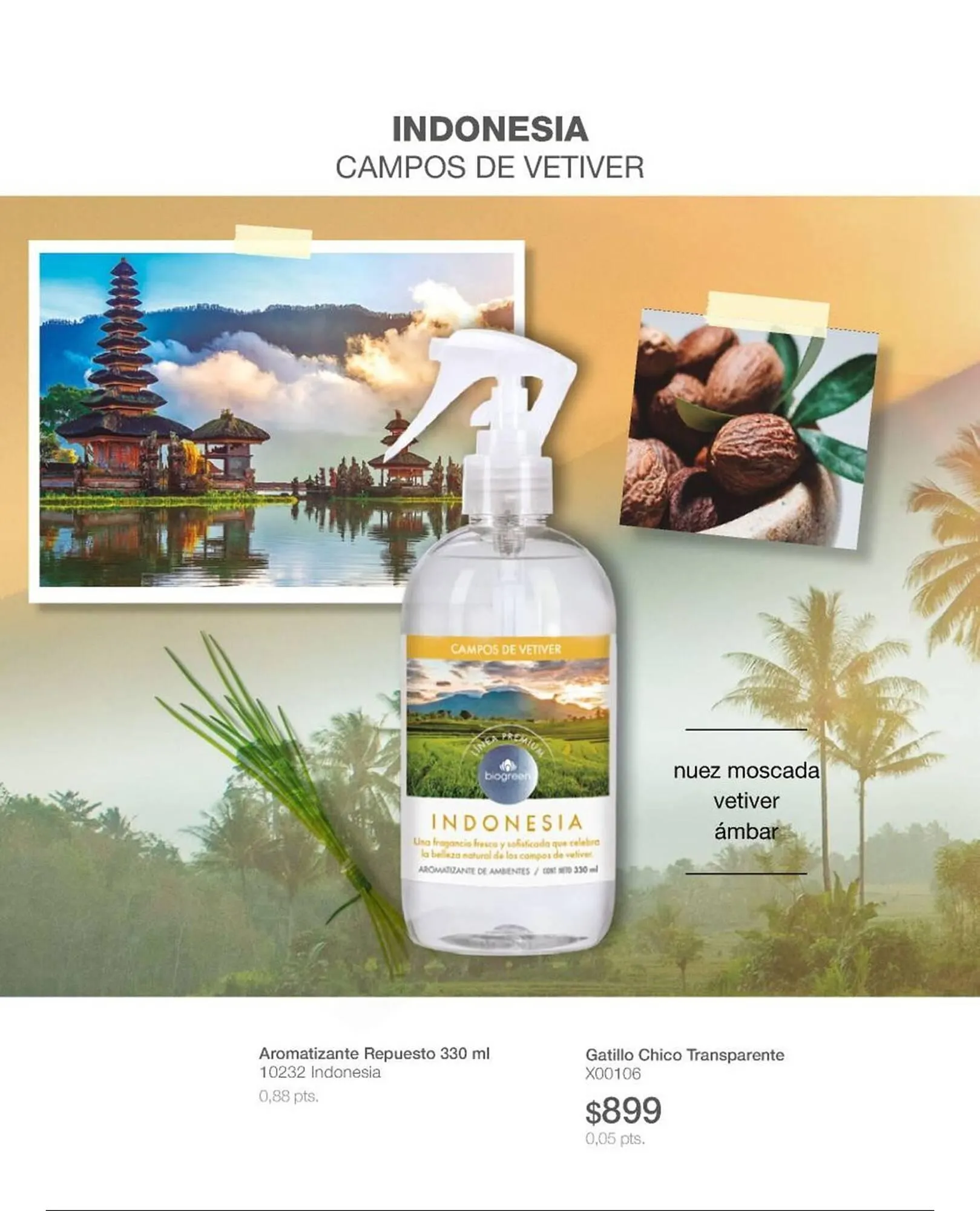 Ofertas de Catálogo Biogreen 16 de febrero al 1 de marzo 2026 - Página 48 del catálogo