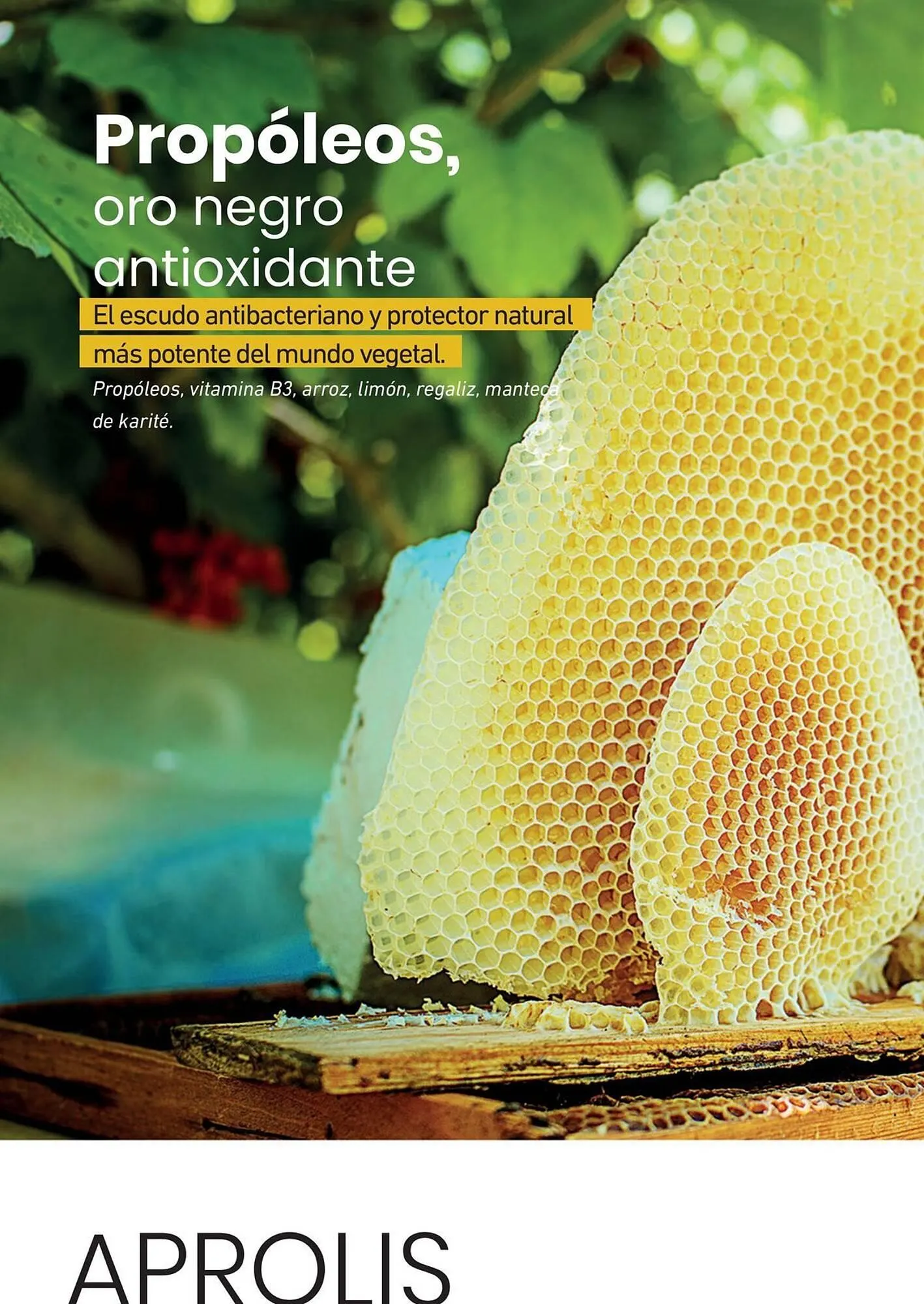 Ofertas de Catálogo Reino Cosmética 9 de abril al 22 de abril 2025 - Página 96 del catálogo