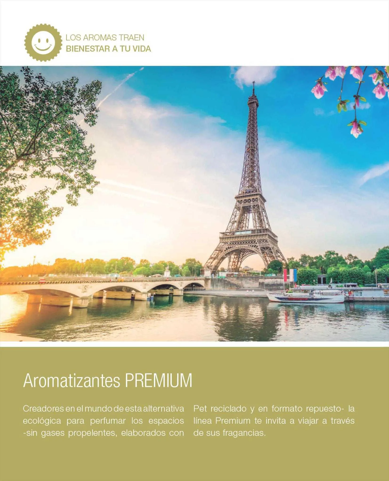 Ofertas de Catálogo Biogreen 17 de agosto al 31 de agosto 2023 - Página 44 del catálogo