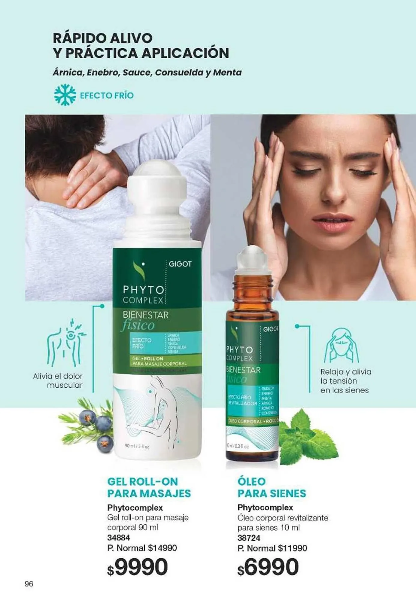 Ofertas de Catálogo Gigot 9 de enero al 16 de enero 2025 - Página 96 del catálogo