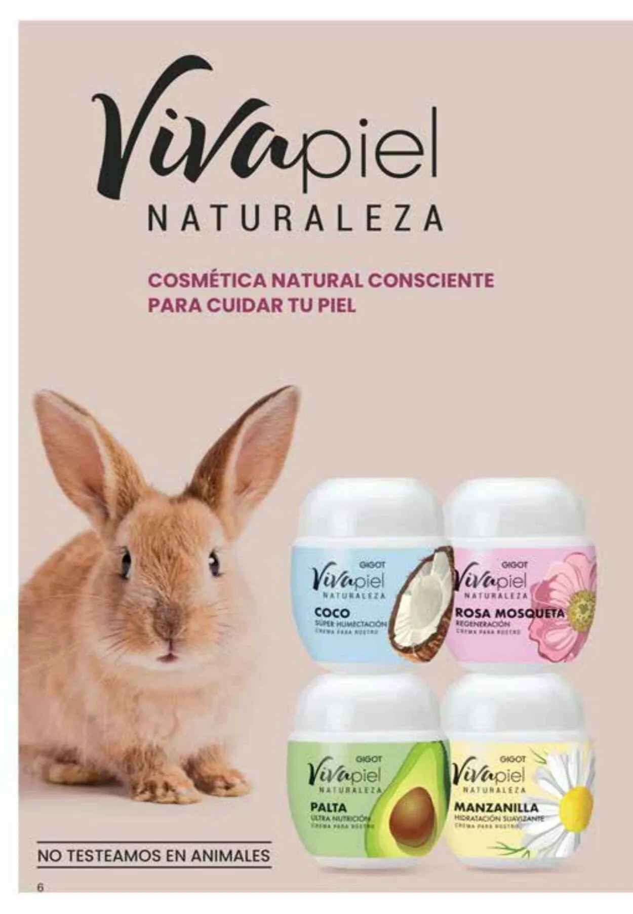 Ofertas de Gigot 6 de octubre al 31 de octubre 2023 - Página 6 del catálogo