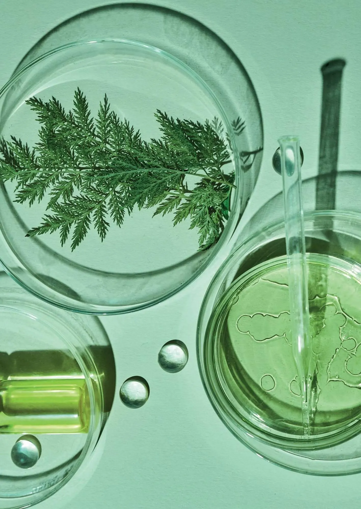 Ofertas de Catálogo Reino Cosmética 8 de mayo al 31 de mayo 2025 - Página 238 del catálogo