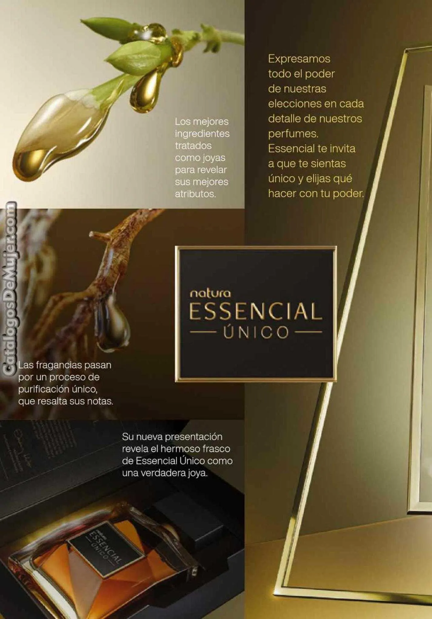 Ofertas de Catálogo Natura 3 de agosto al 30 de septiembre 2023 - Página 2 del catálogo