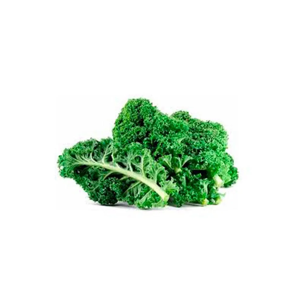 Kale Verde X Kg
