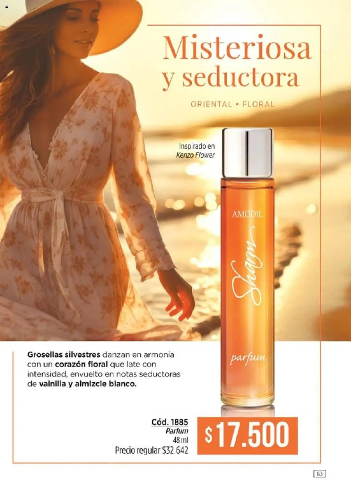 Ofertas de Catálogo Amodil 1 de octubre al 1 de noviembre 2025 - Página 63 del catálogo