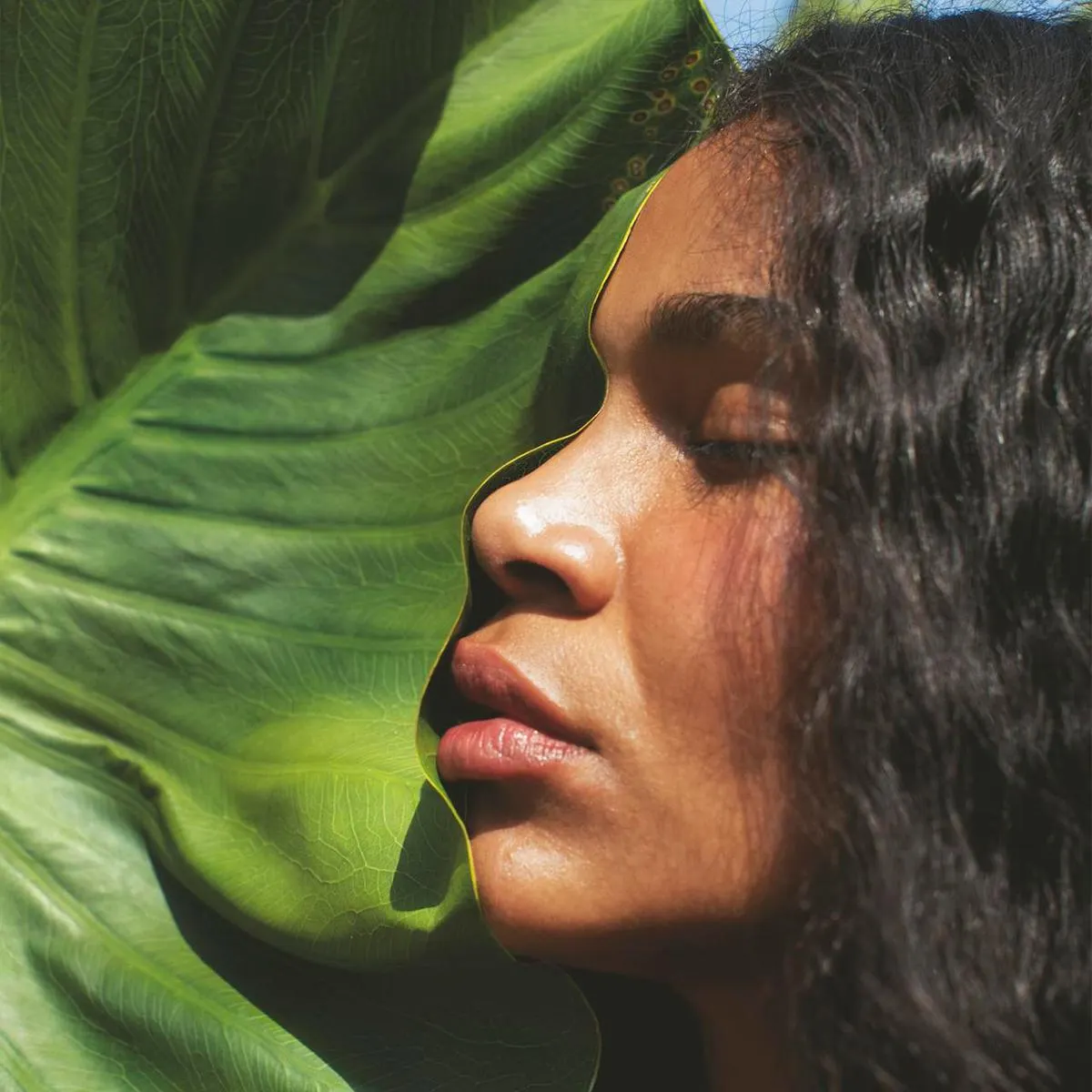 Repuesto Pulpa hidratante para el Cuerpo Castaña