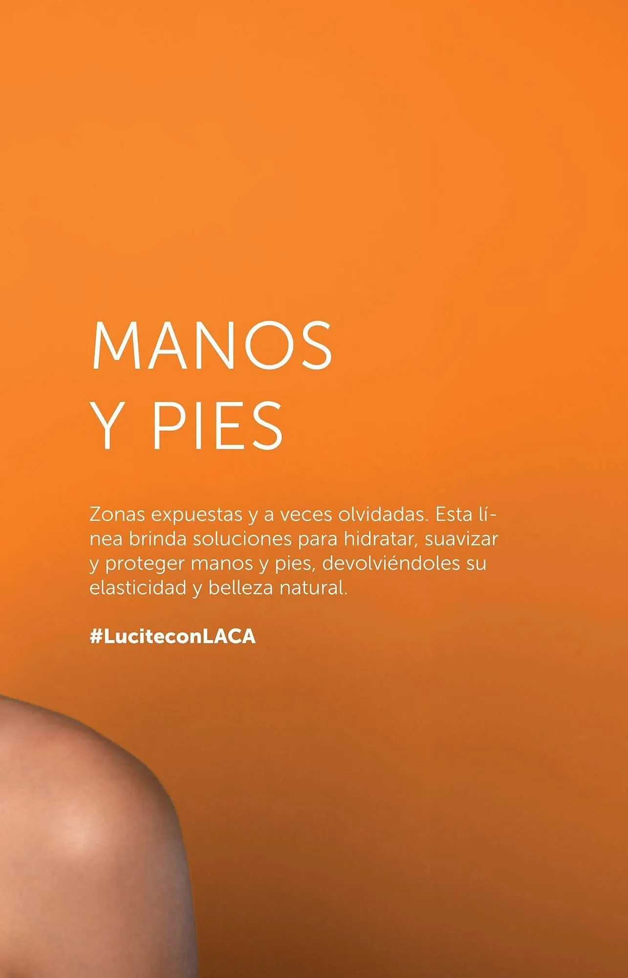 Ofertas de Catálogo Laboratorio LACA 3 de octubre al 31 de enero 2026 - Página 97 del catálogo