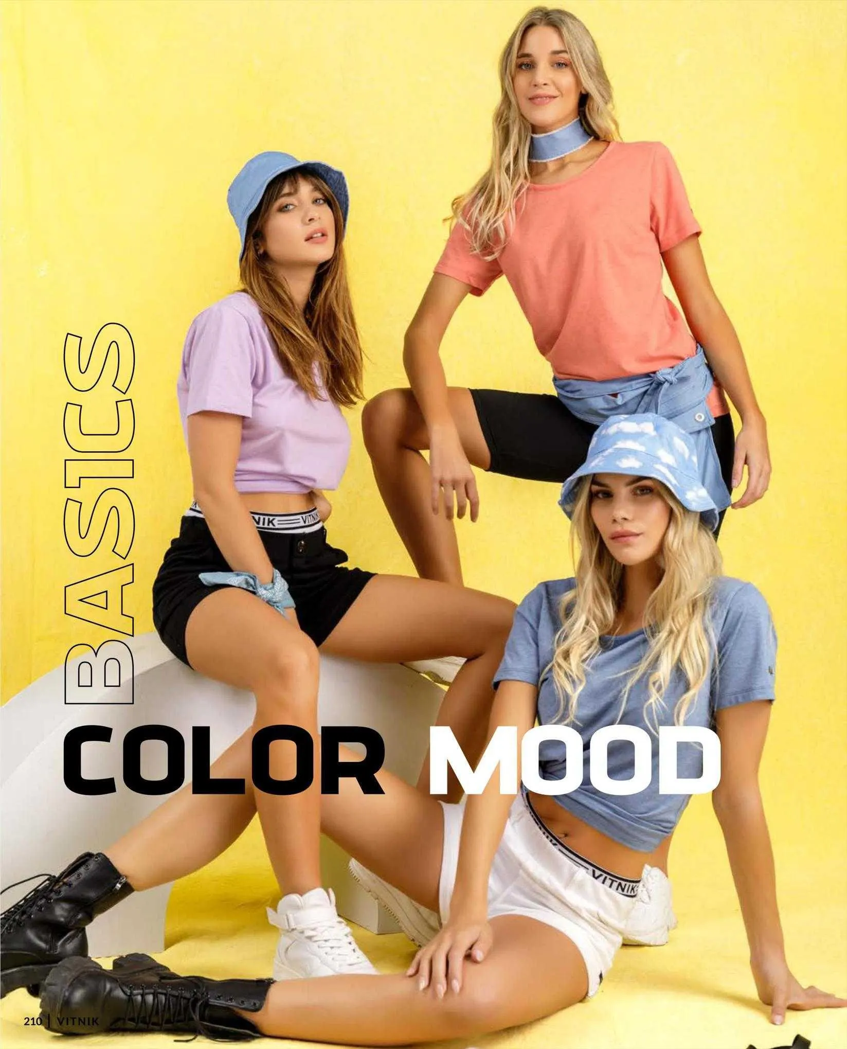 Ofertas de Catálogo Vitnik 1 de septiembre al 18 de septiembre 2023 - Página 210 del catálogo