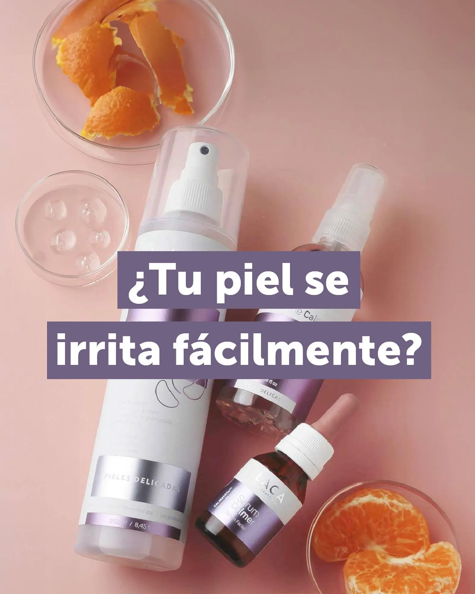 Catálogo Laboratorio LACA - 1