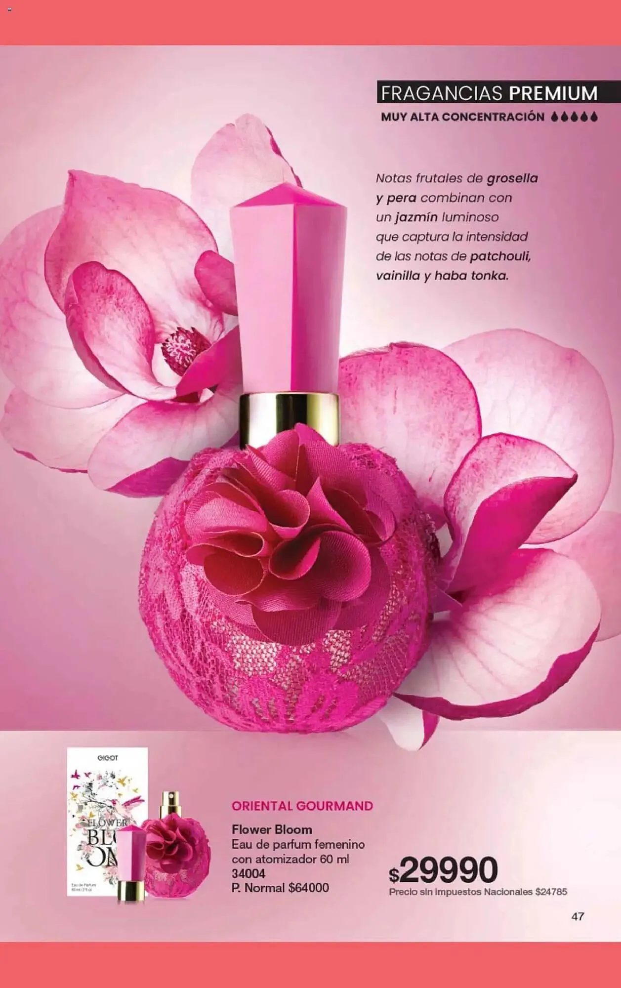 Ofertas de Folleto Gigot 15 de marzo al 31 de marzo 2026 - Página 63 del catálogo