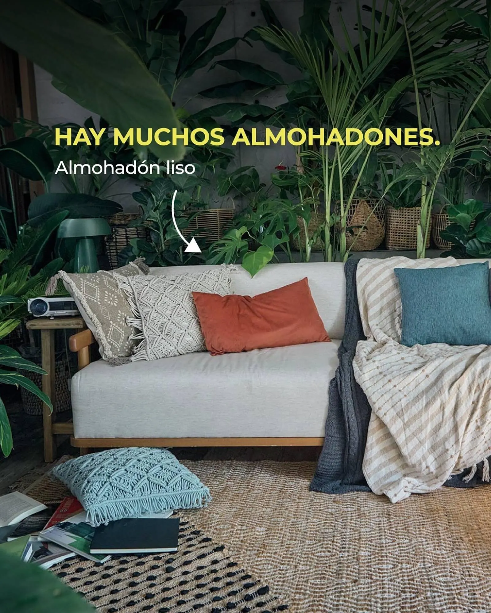 Ofertas de Catálogo Arredo 21 de mayo al 31 de mayo 2025 - Página 2 del catálogo