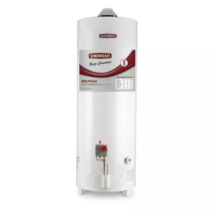 Termotanque gas natural conexión superior 50 l de colgar blanco