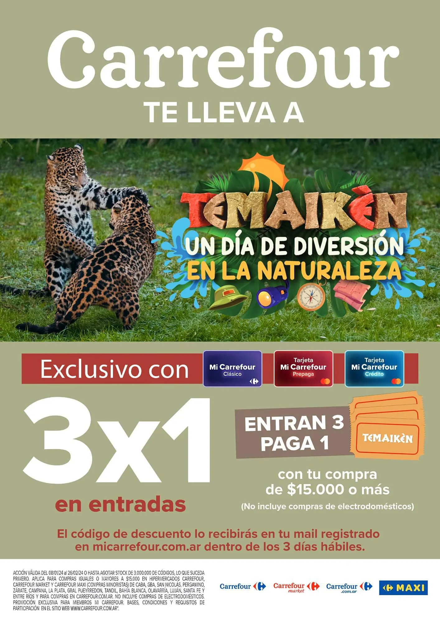 Ofertas de Catálogo Carrefour Market 23 de enero al 29 de enero 2024 - Página 11 del catálogo