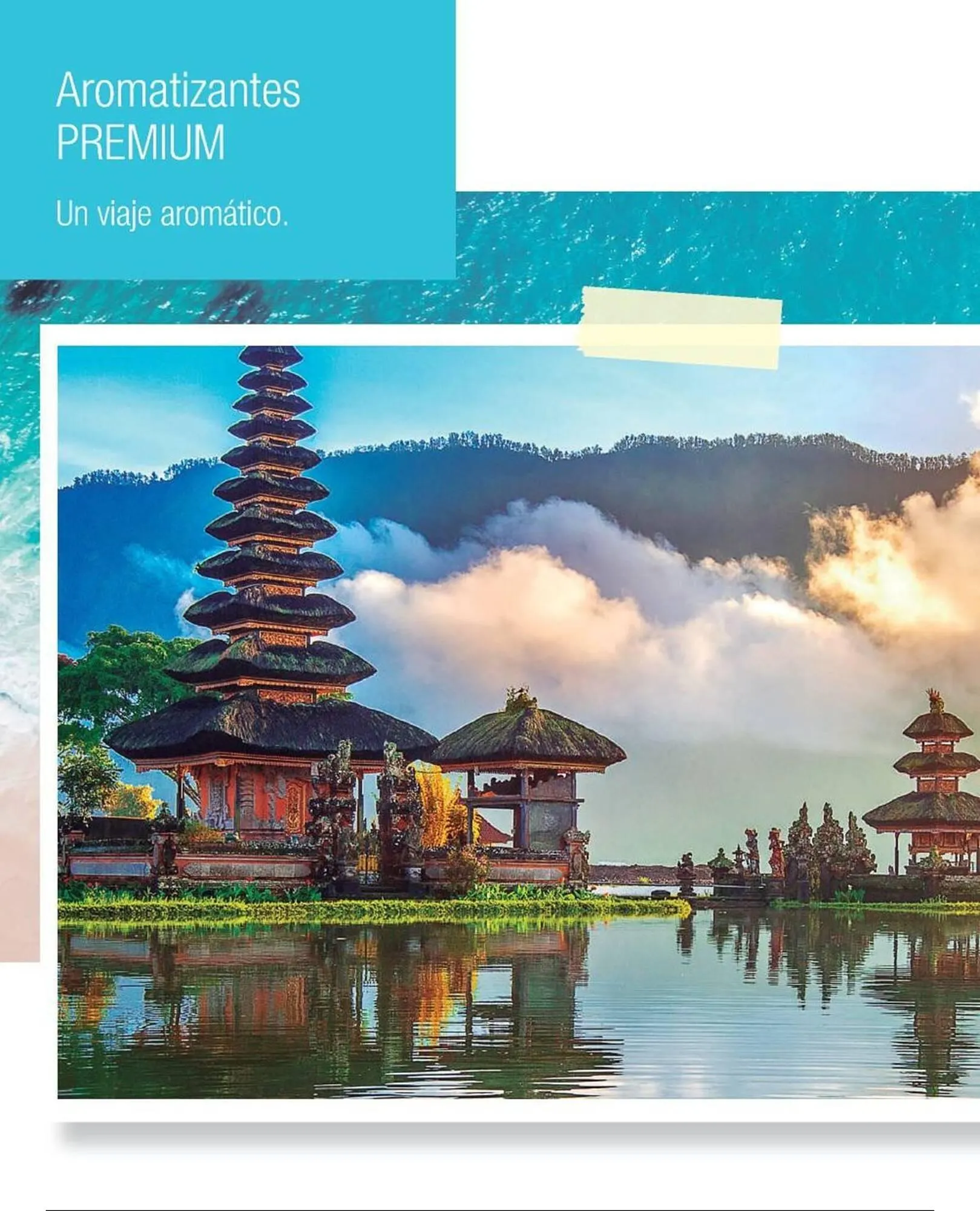 Ofertas de Catálogo Biogreen 28 de julio al 10 de agosto 2025 - Página 20 del catálogo