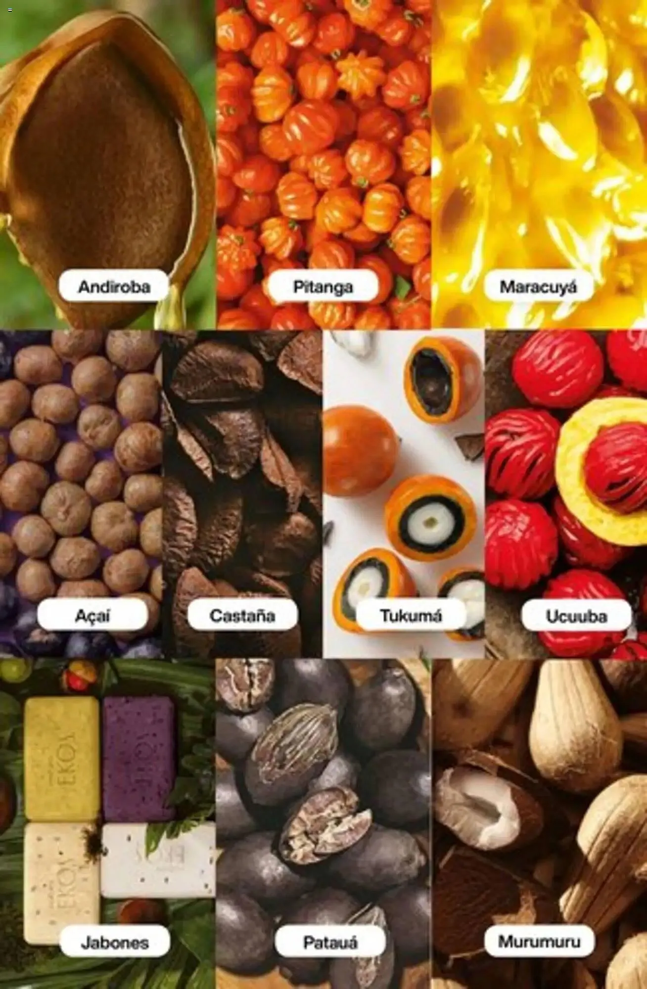 Ofertas de Catálogo Natura 4 de diciembre al 31 de enero 2026 - Página 189 del catálogo