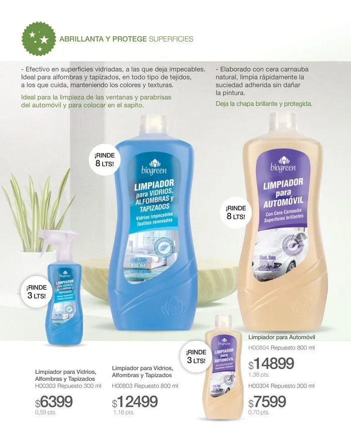 Ofertas de Catálogo Perfumes Biogreen Julio  23 de julio al 31 de julio 2024 - Página 81 del catálogo