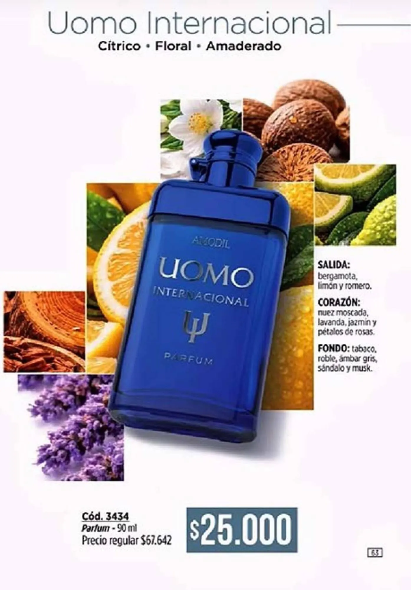 Ofertas de Catálogo Amodil 9 de abril al 30 de abril 2026 - Página 63 del catálogo