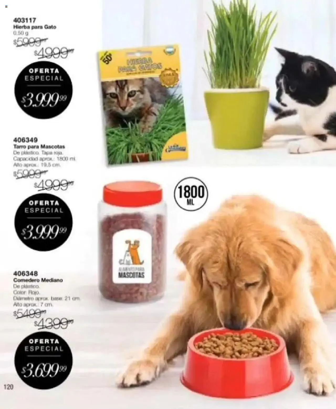 Ofertas de Violetta catálogo 23 de septiembre al 6 de octubre 2024 - Página 118 del catálogo